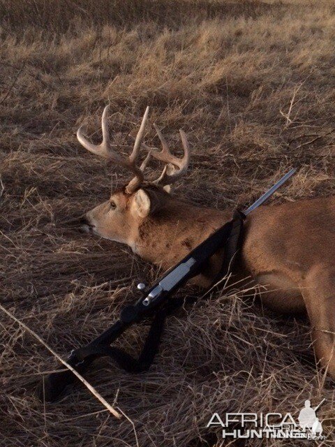 2014 Oklahoma deer