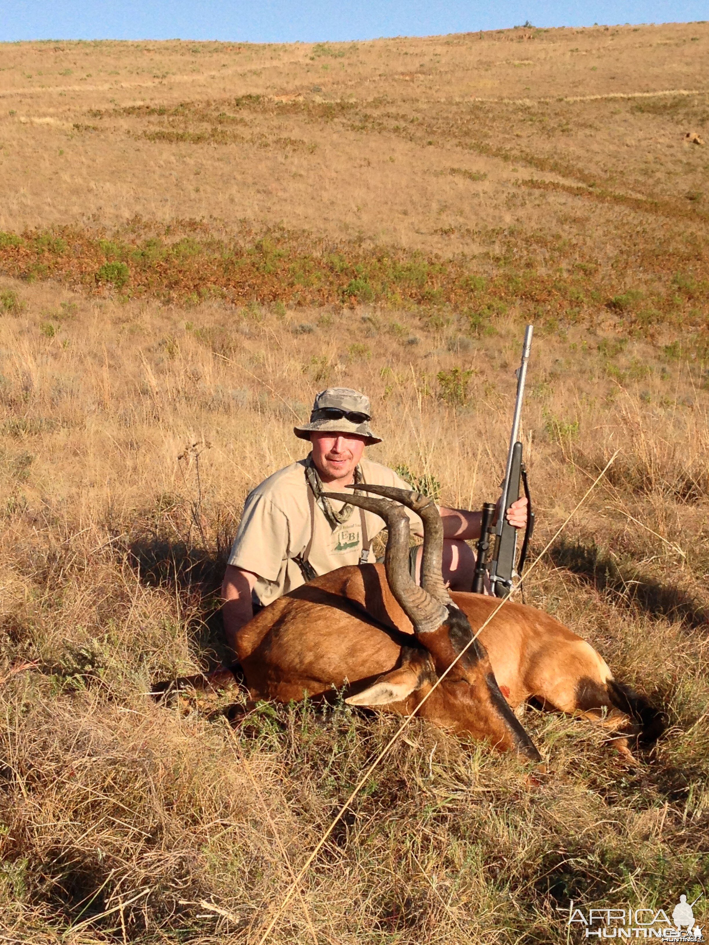 2014 Red Hartebeest