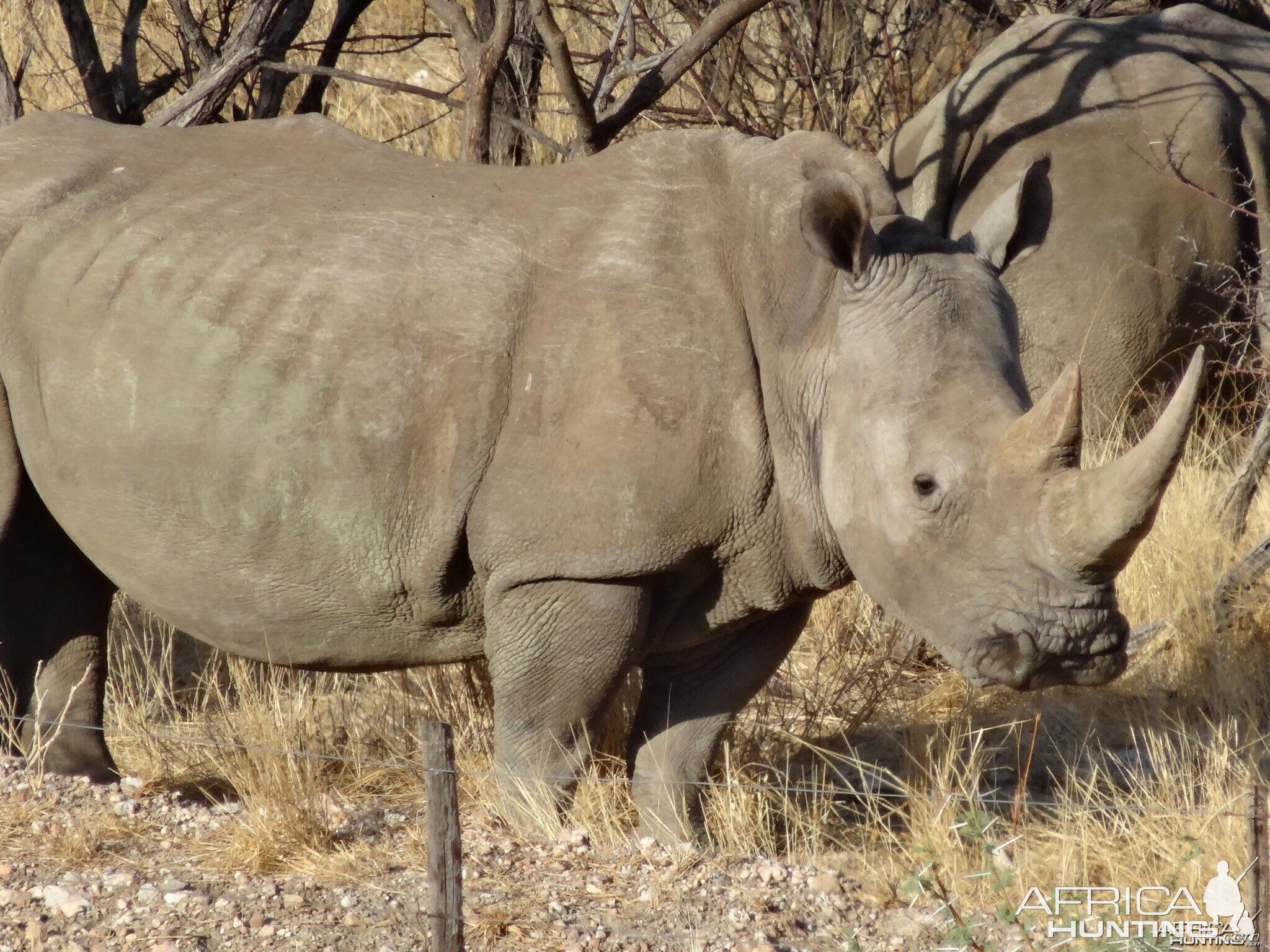 2014 with Nick Nolte Safaris