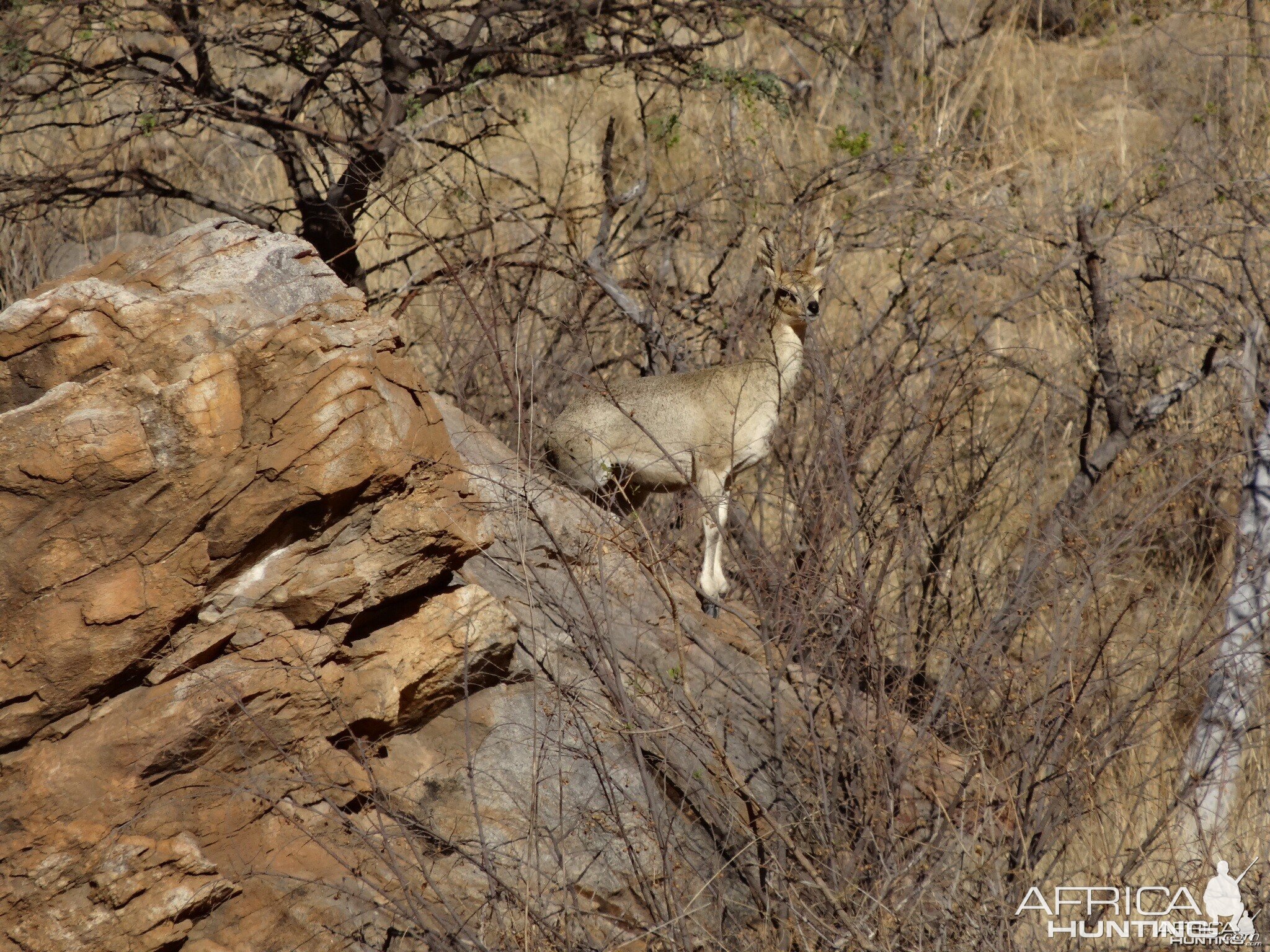 2014 with Nick Nolte Safaris