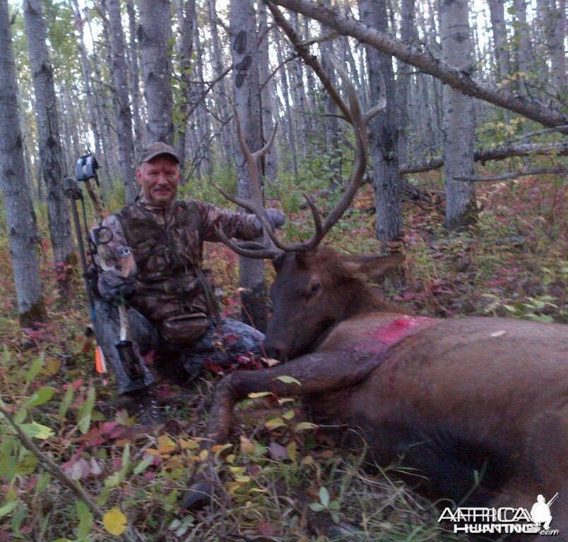 2015 elk hunt in Alberta, Canada