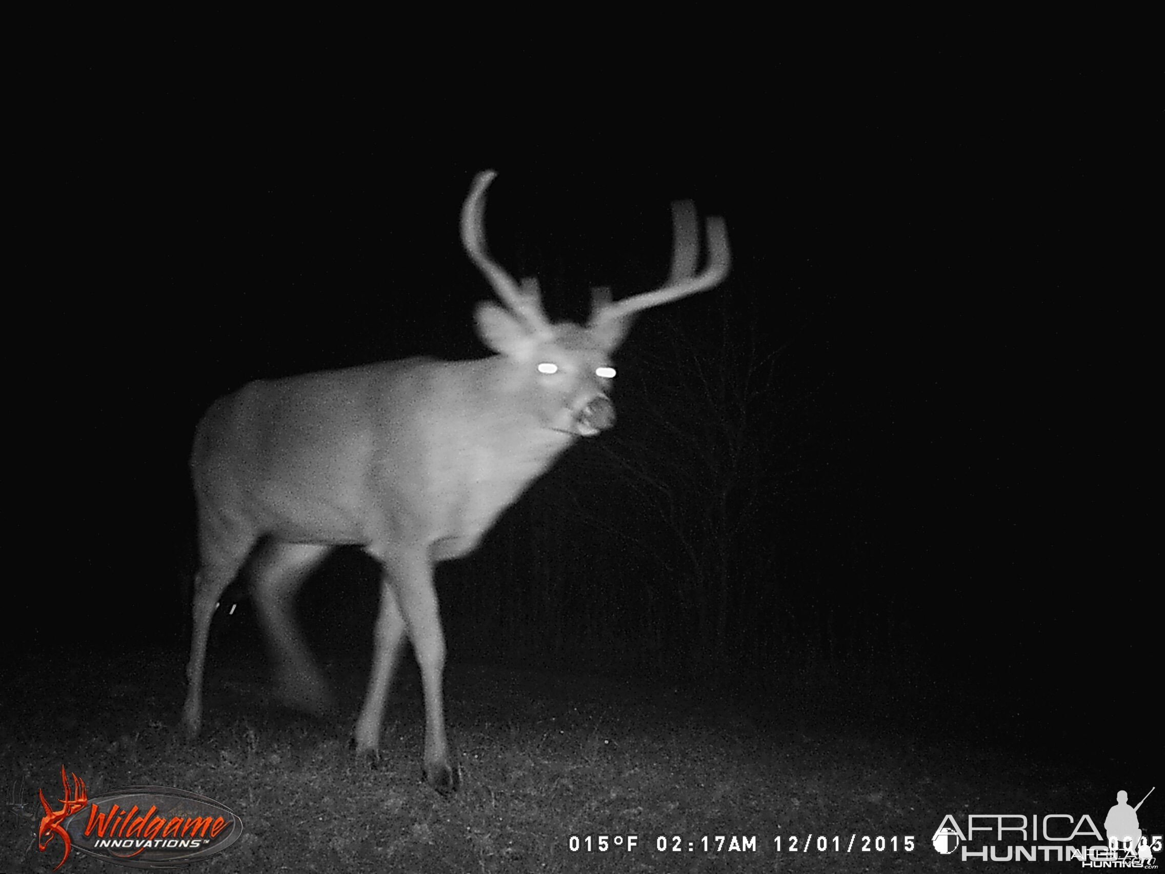 2015 Trail Cam