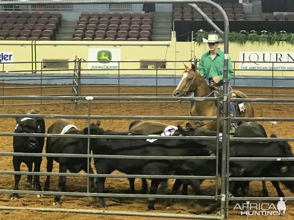 2018 AQHA Team Penner Youth World Championship