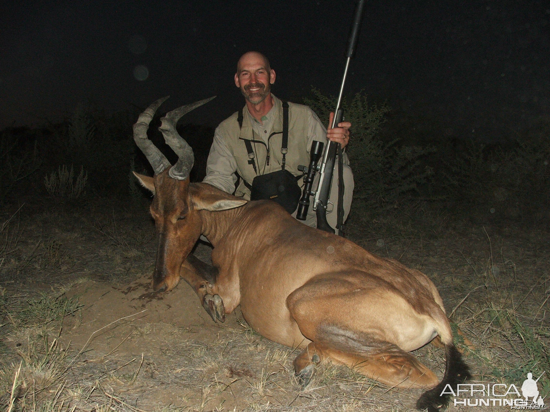 22" Red Hartebeest