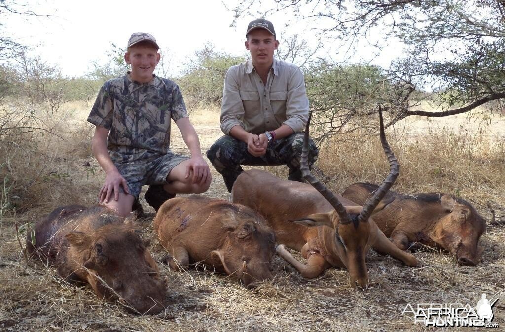 23 1/4 " Impala and 3 warthogs shot by a client at Harmonie Safari's.