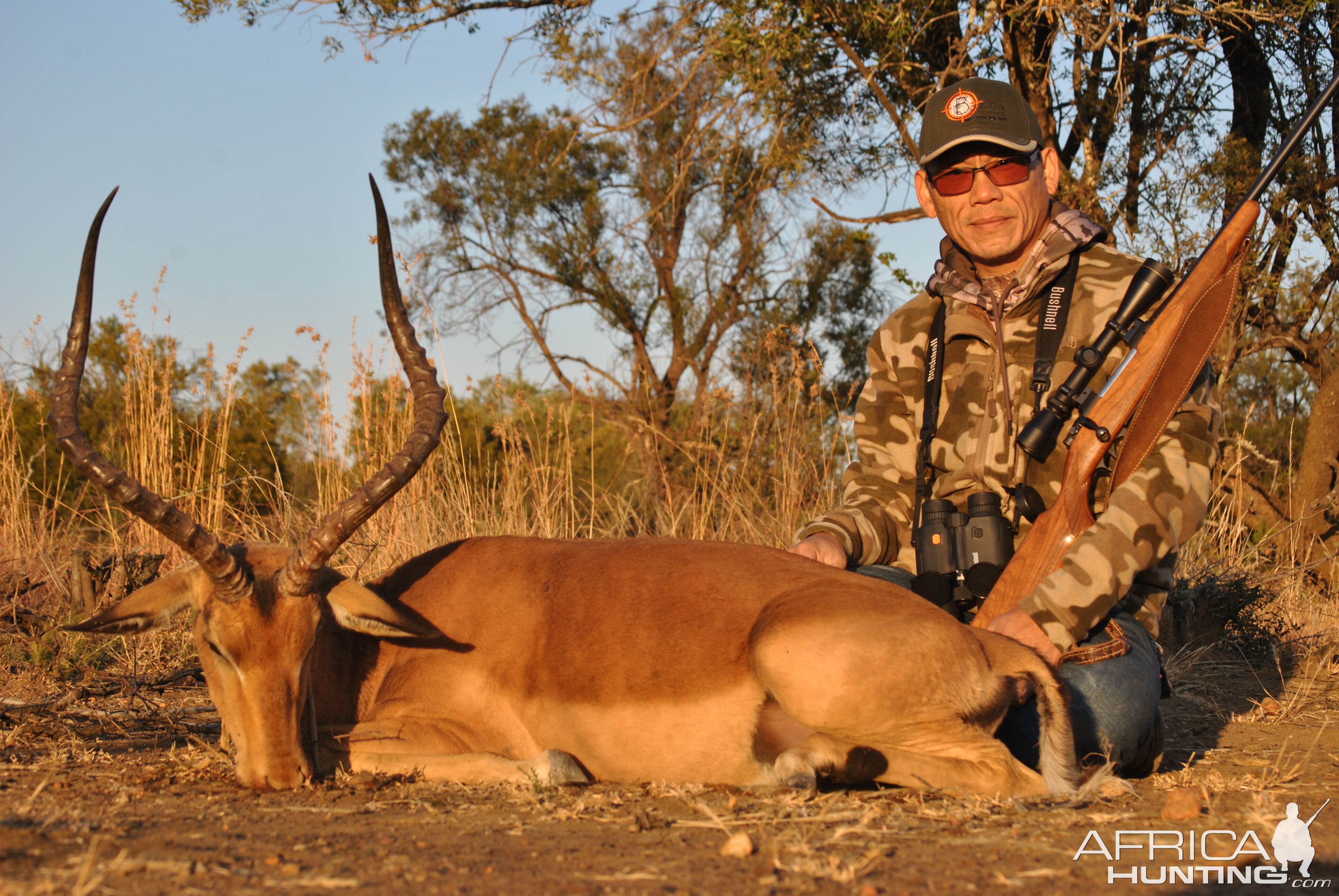 24.5" Inch Impala Hunting South Africa