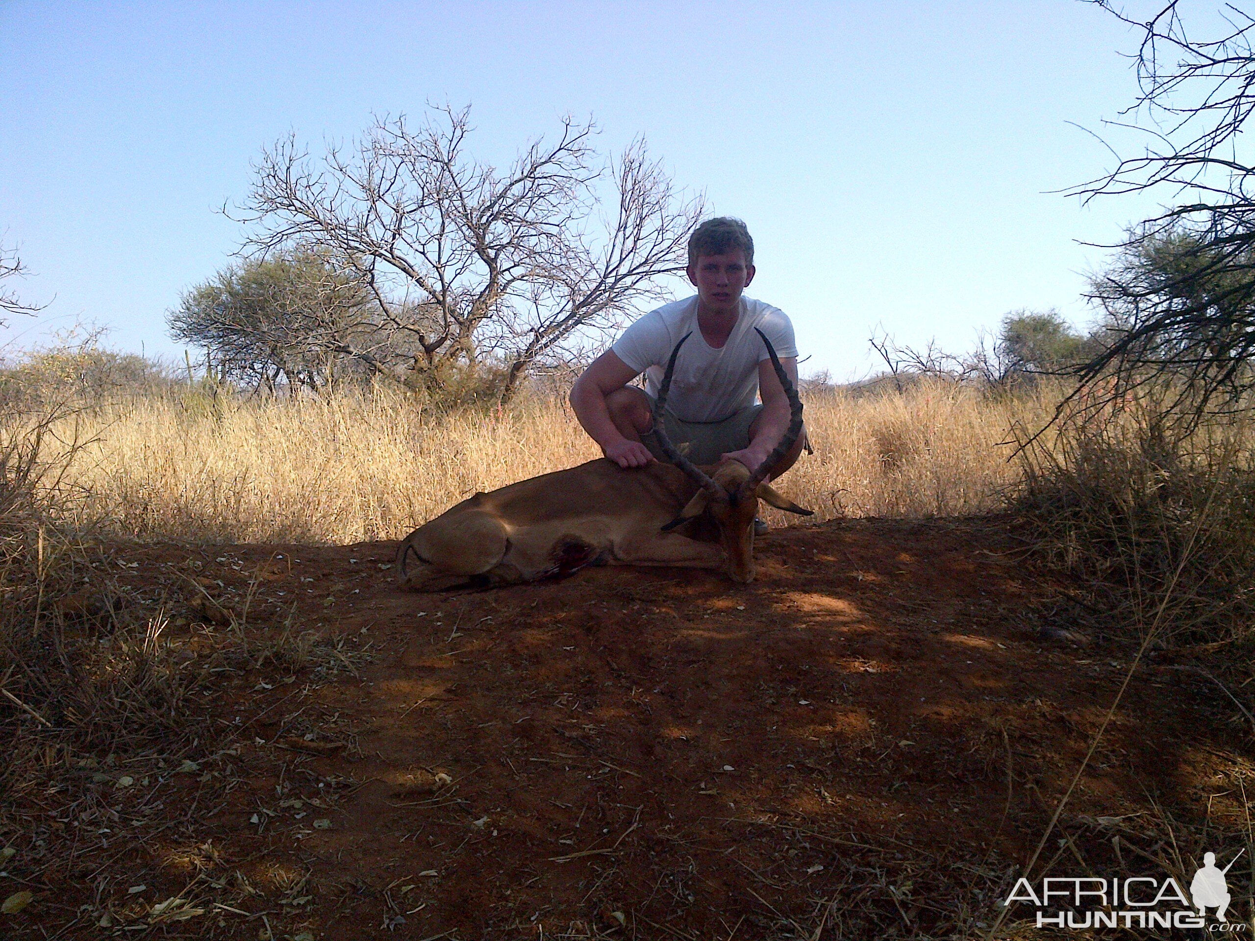 25 inch rowland ward impala taken with crossbow