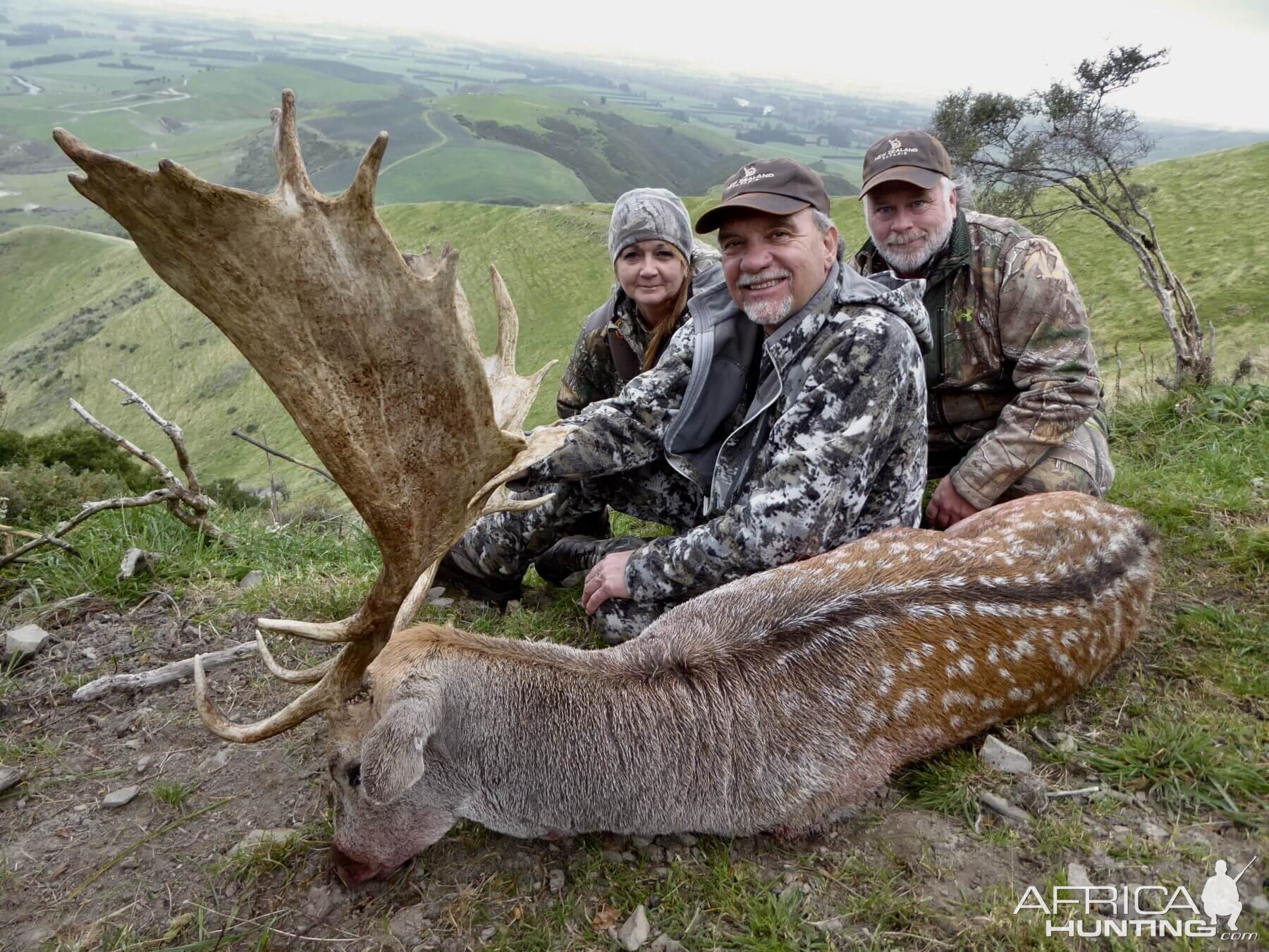 260" Inch Fallow Deer Hunting New Zealand