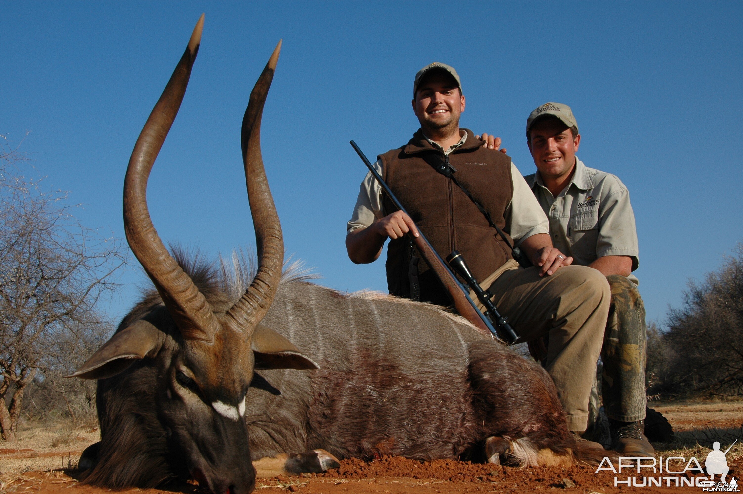 27 inch Nyala