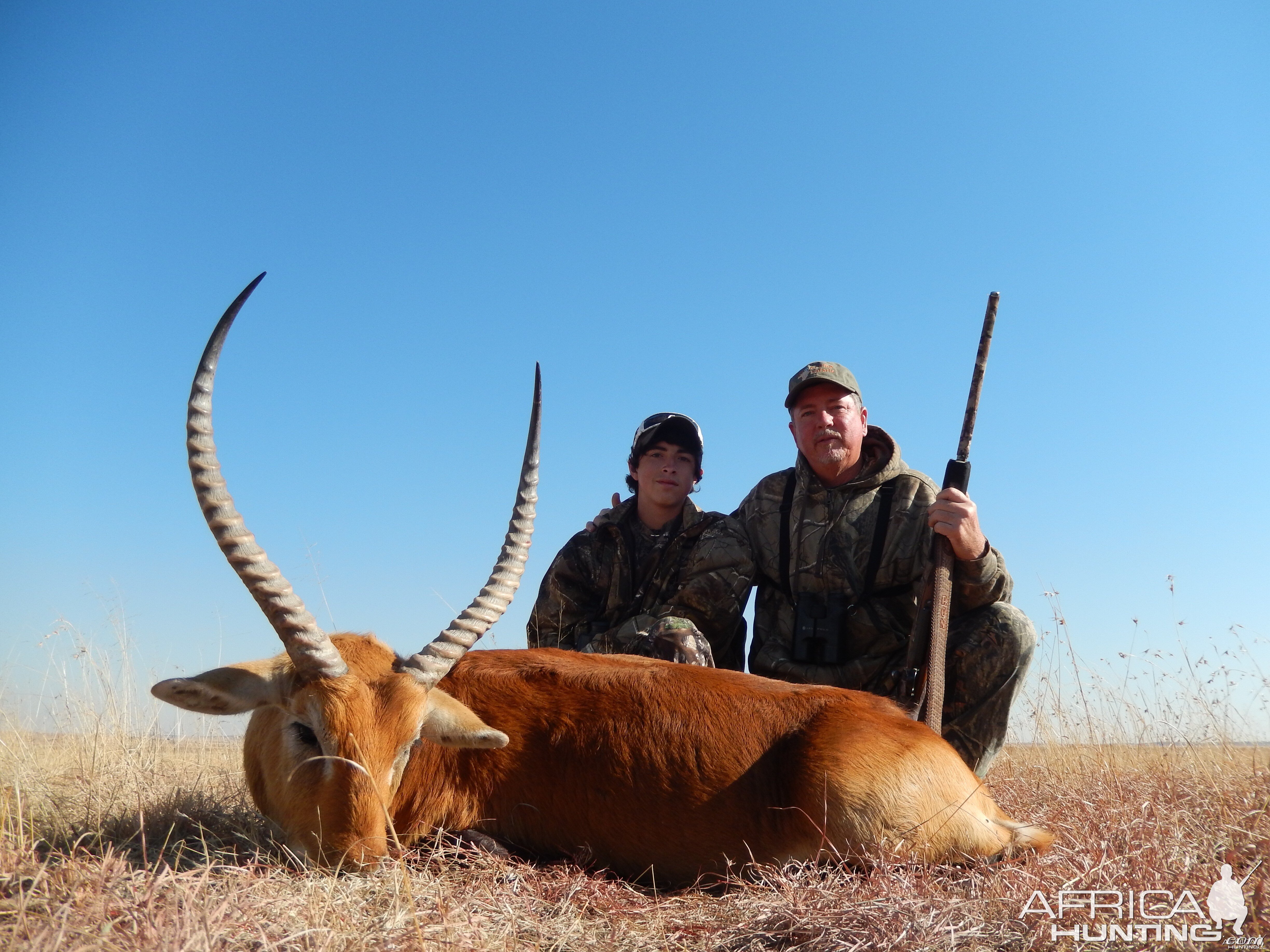 27'' red lechwe karoo s.a.