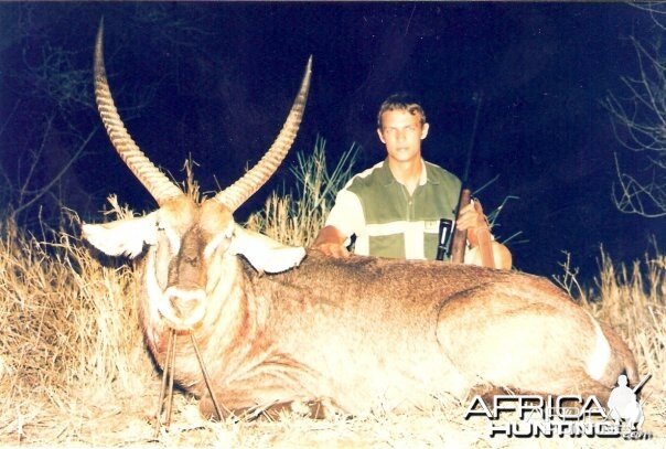 28.5 inch Common Waterbuck