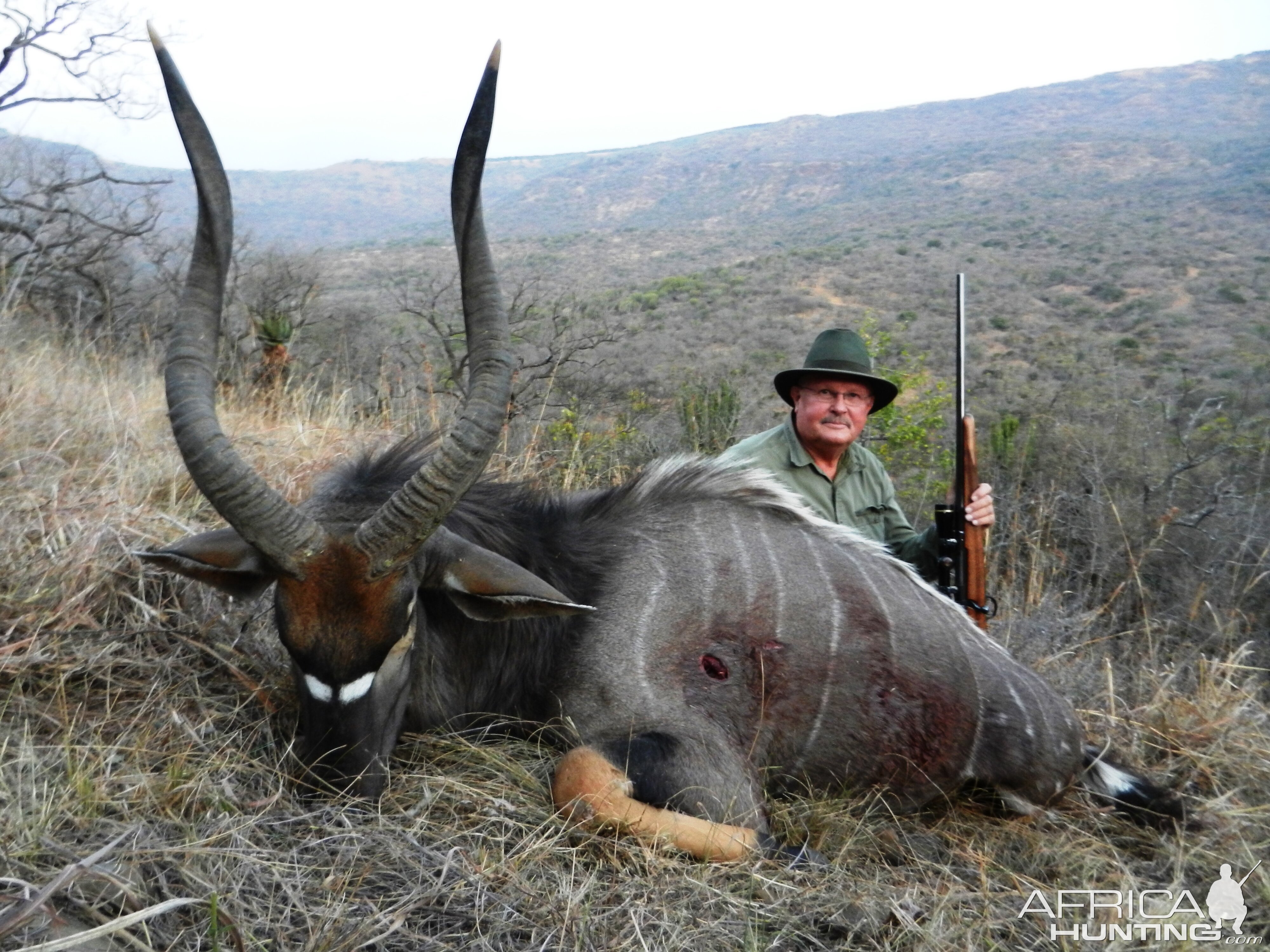 28" Inch Nyala Hunt