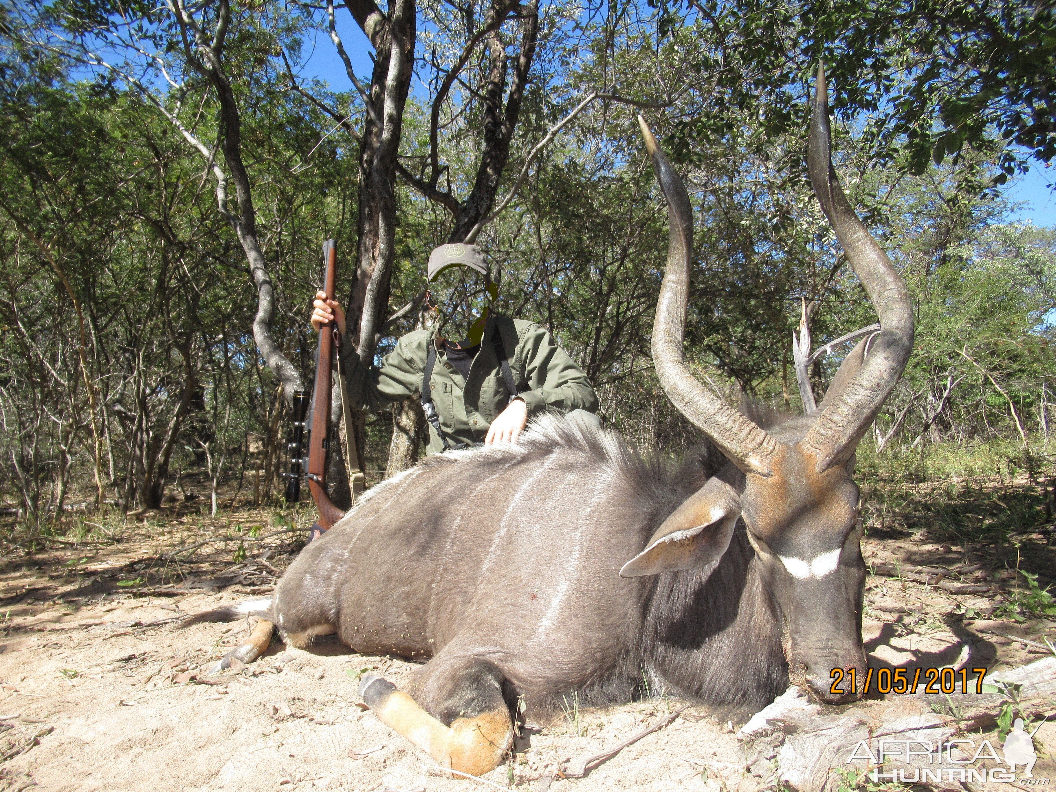 28" Inch Nyala Hunt