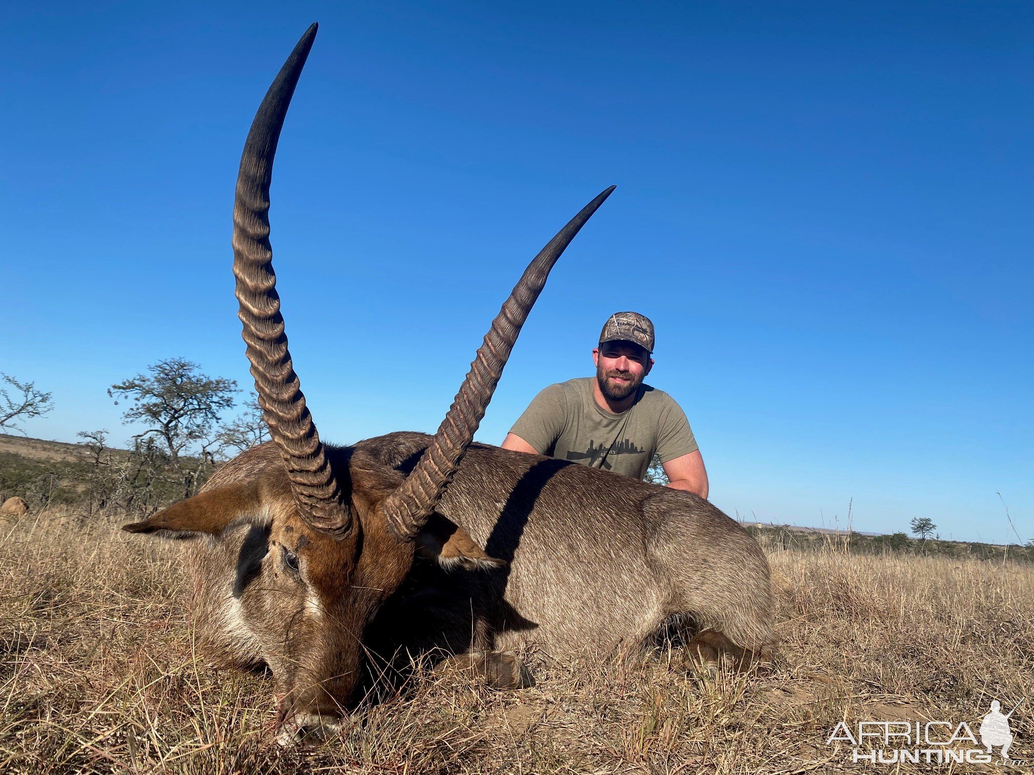 28 Inch Waterbuck Hunting