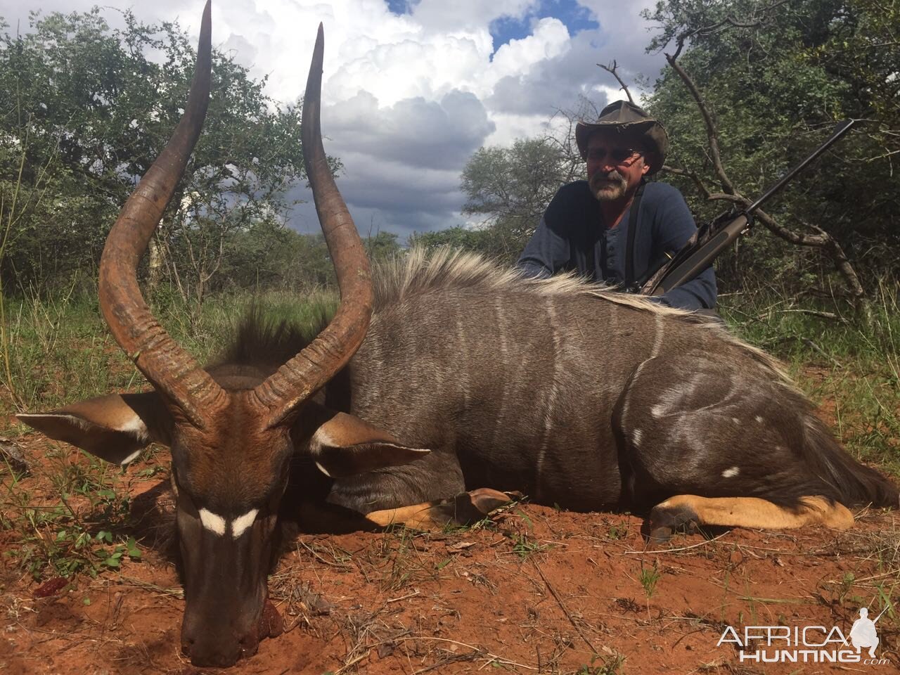 29 Inch Nyala Hunt South Africa