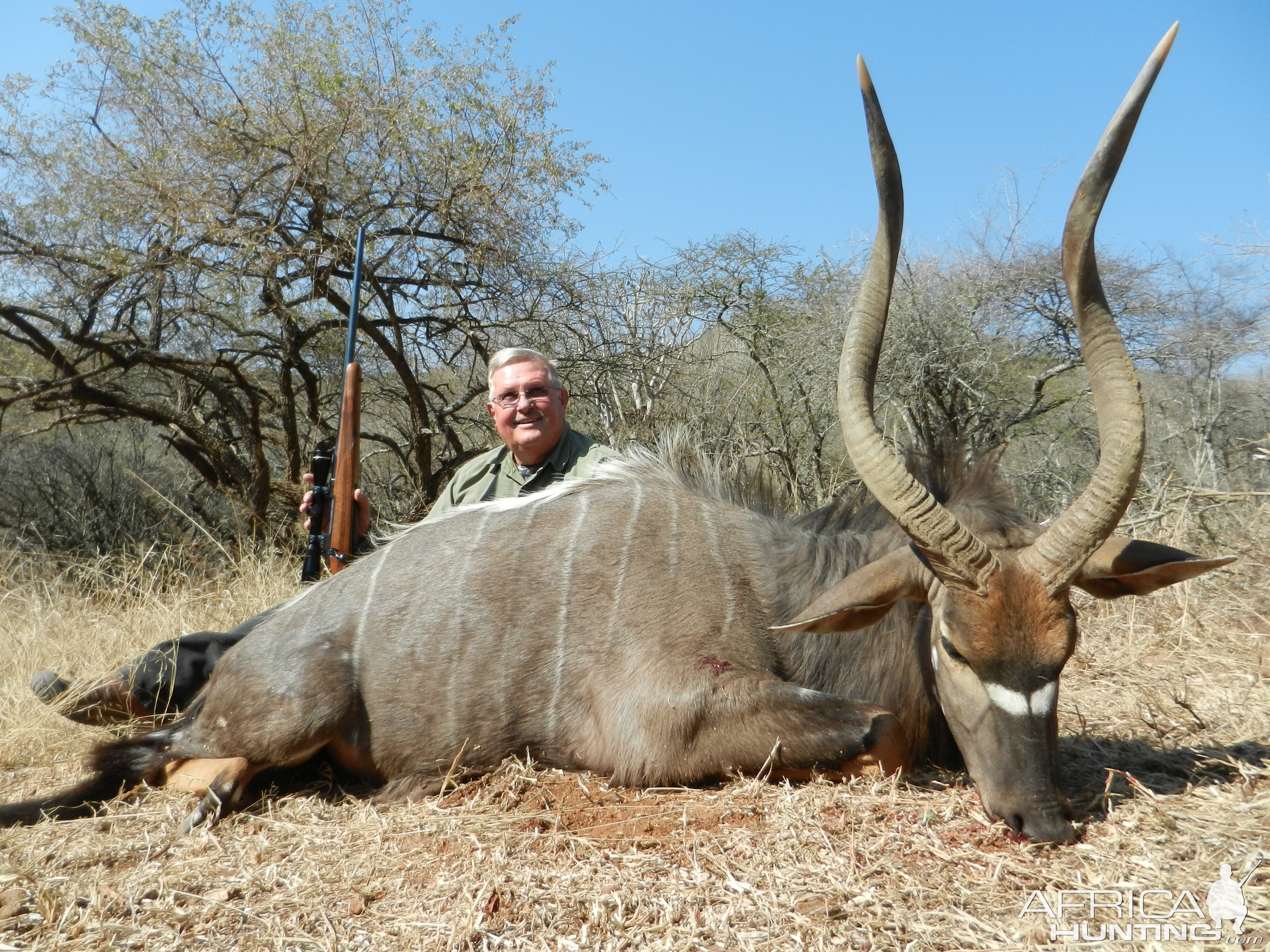 29" Inch Nyala Hunt