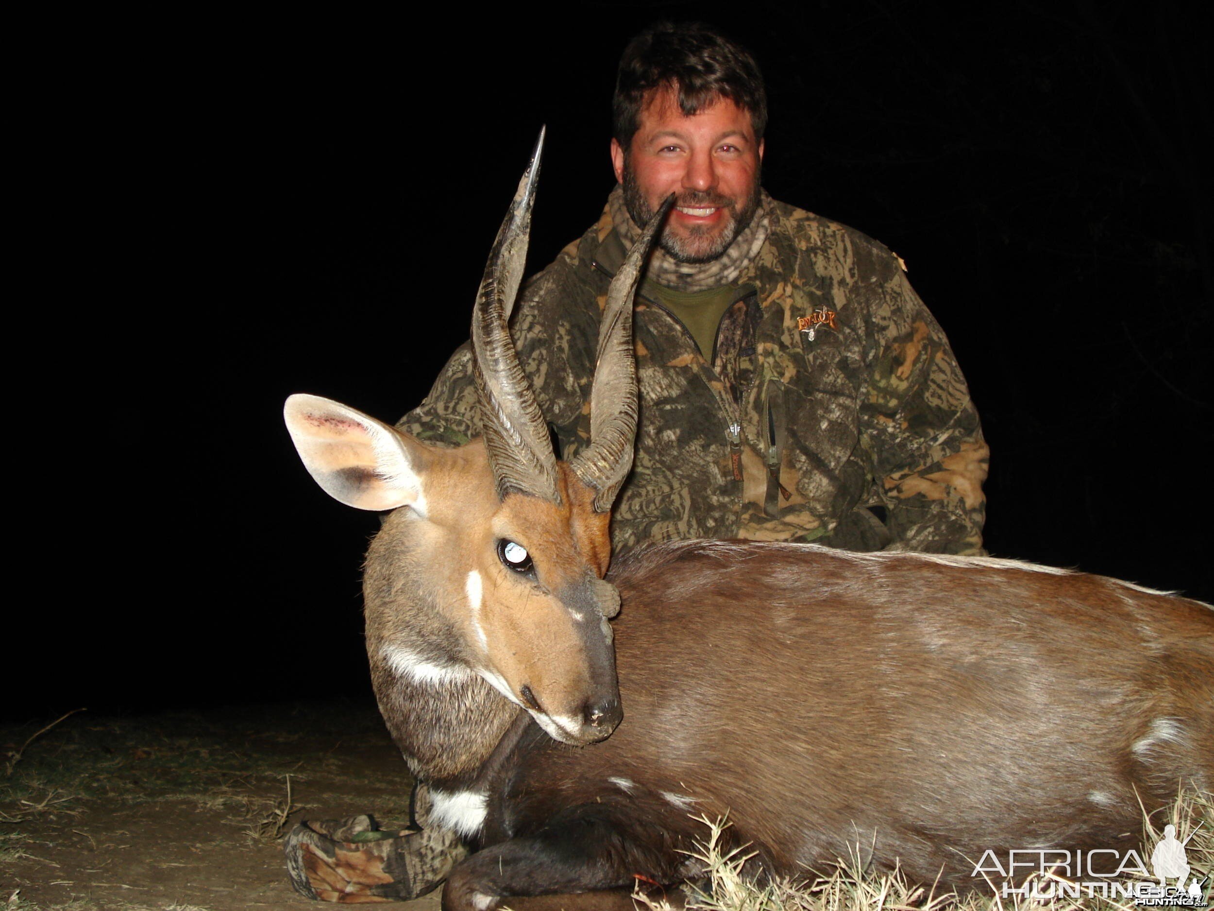 3 horned Limpopo Bushbuck - 2008