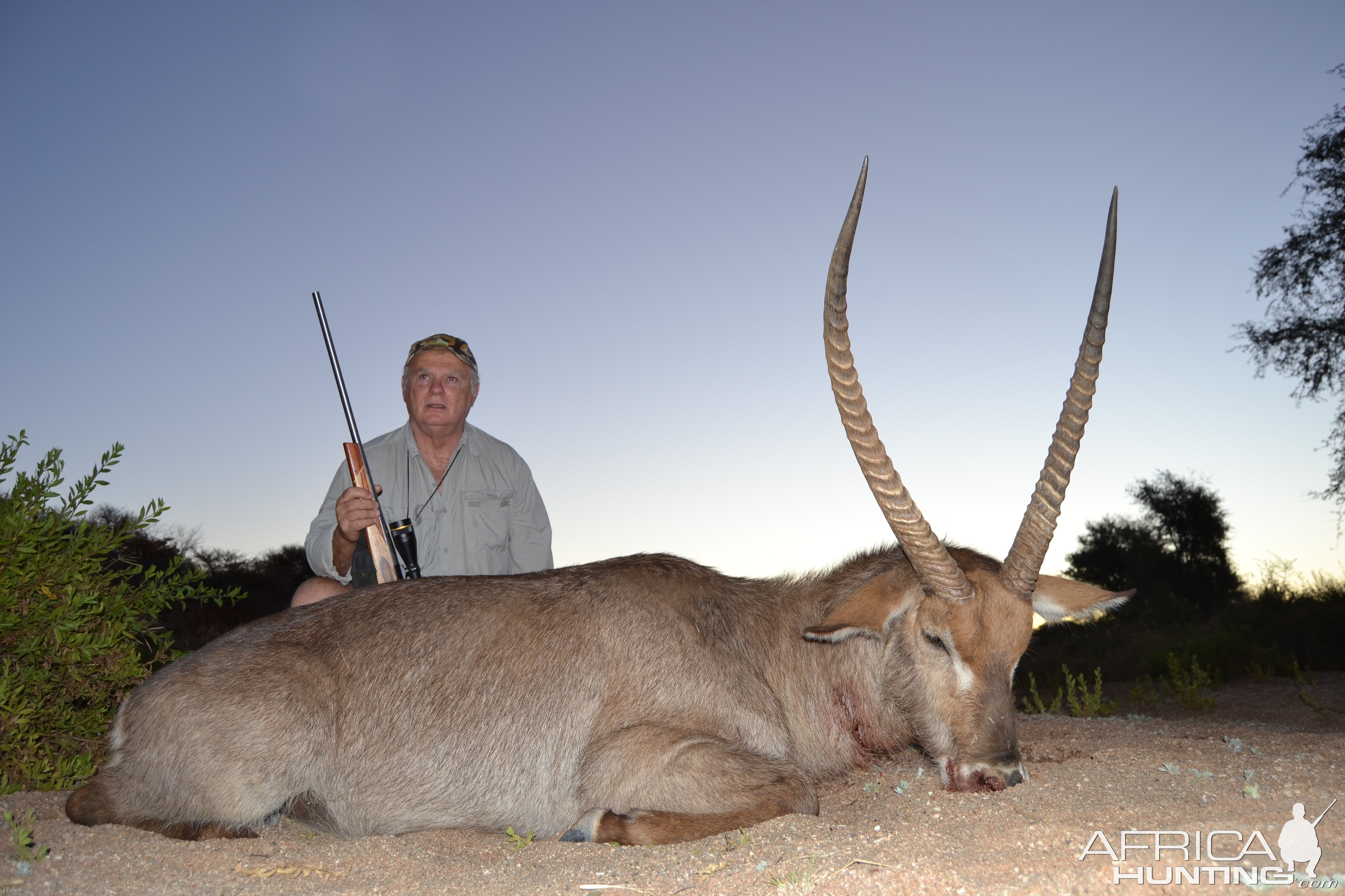 30" Waterbuck along the Sandriver