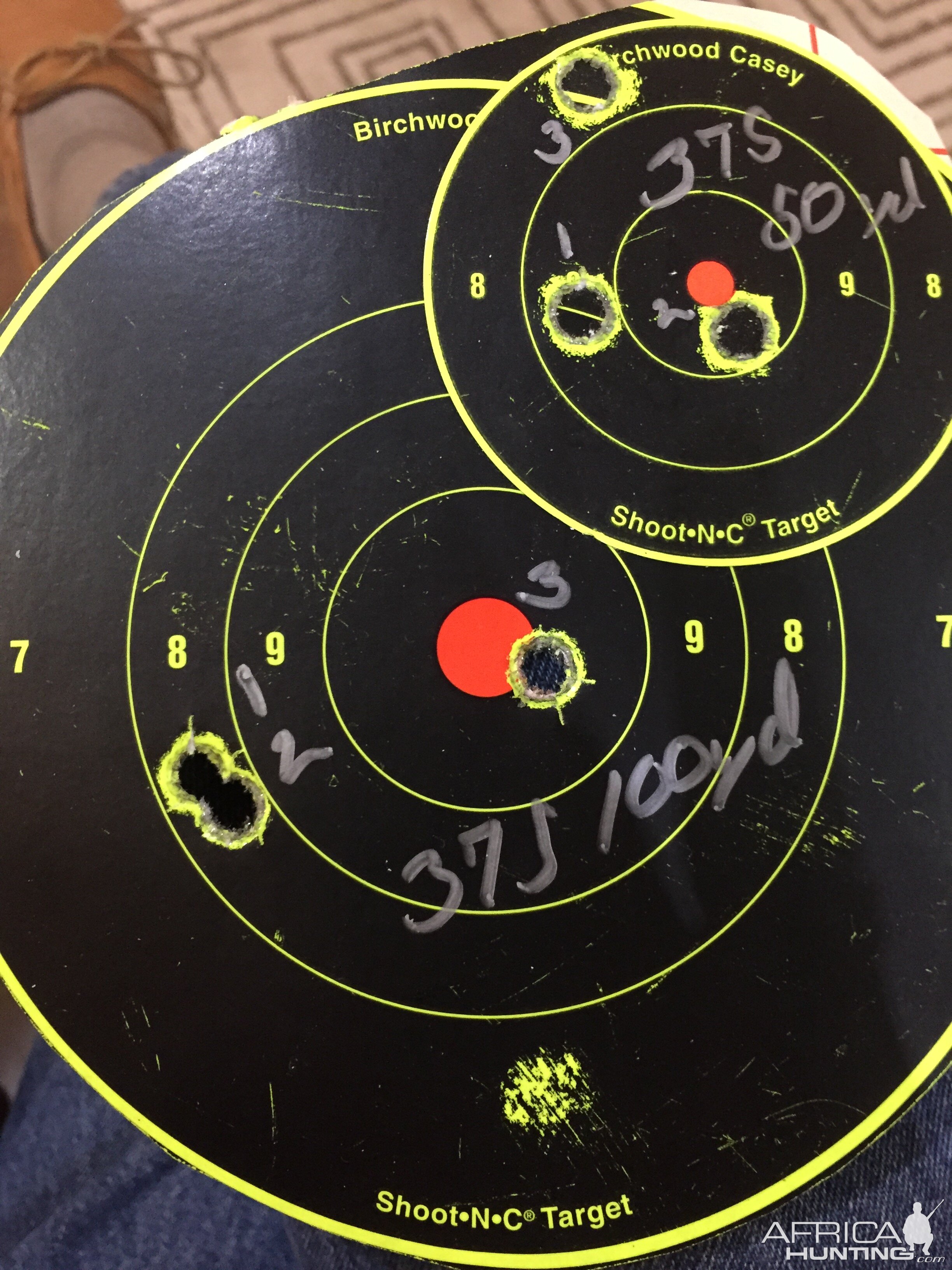 300 grain 375 Ruger Range Shots