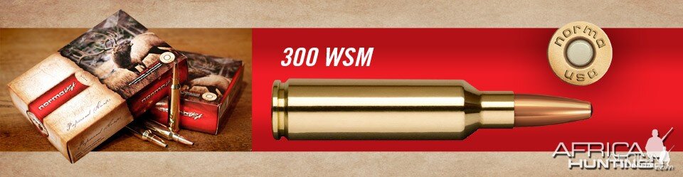 .300 Winchester Short Magnum