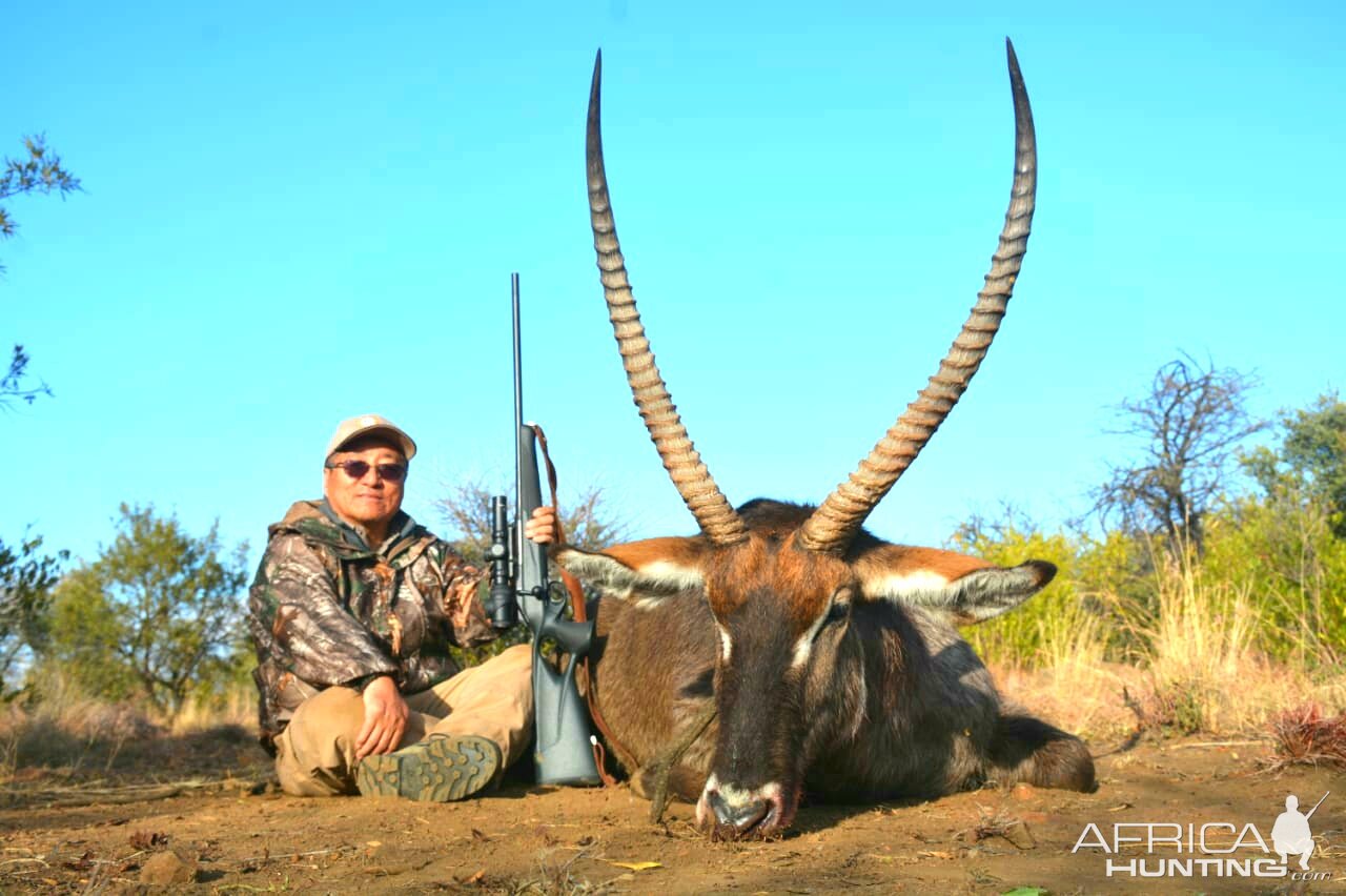 31 2/8" Inch Waterbuck Hunt South Africa