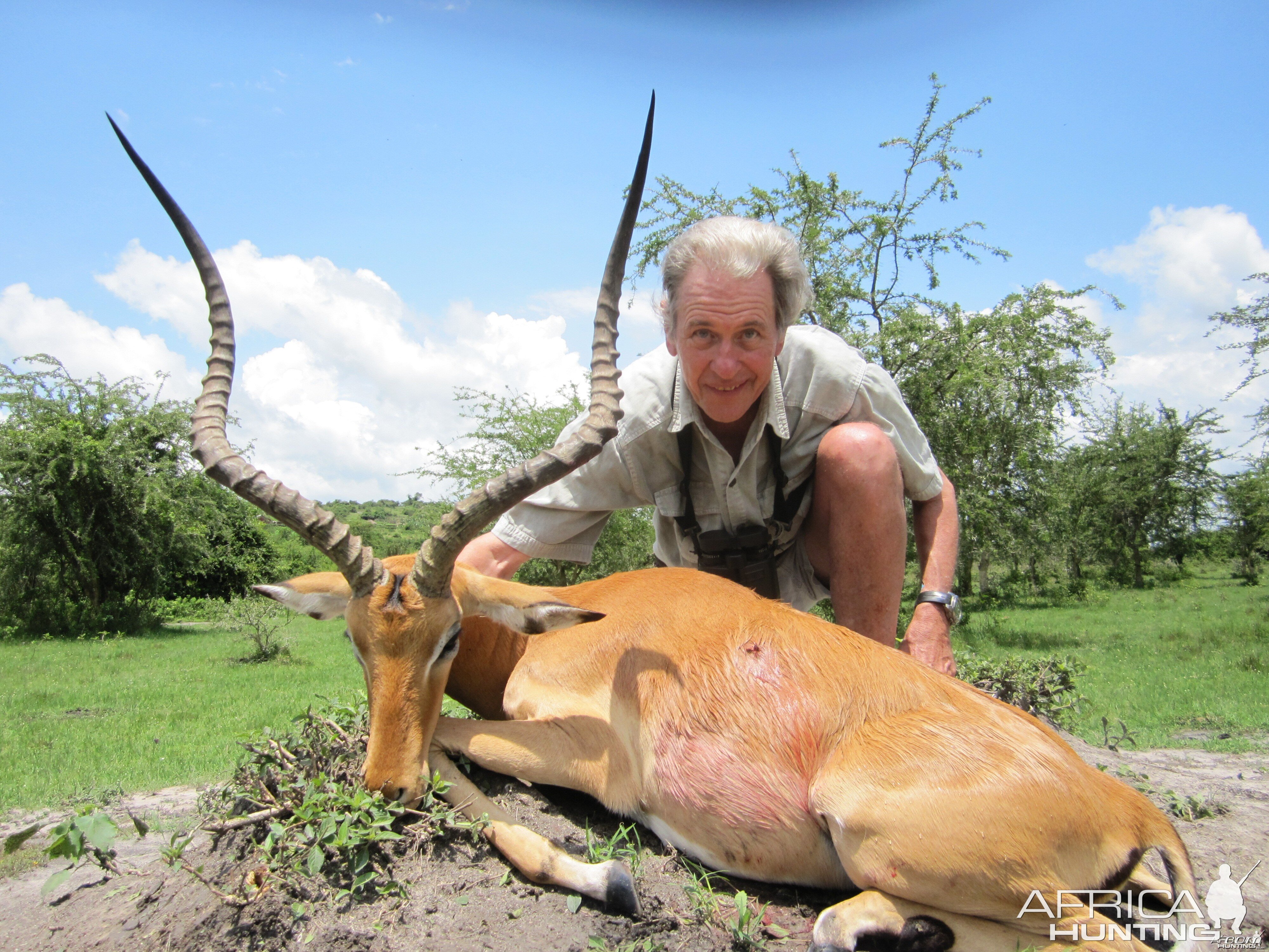 31 inch East African Impala Uganda