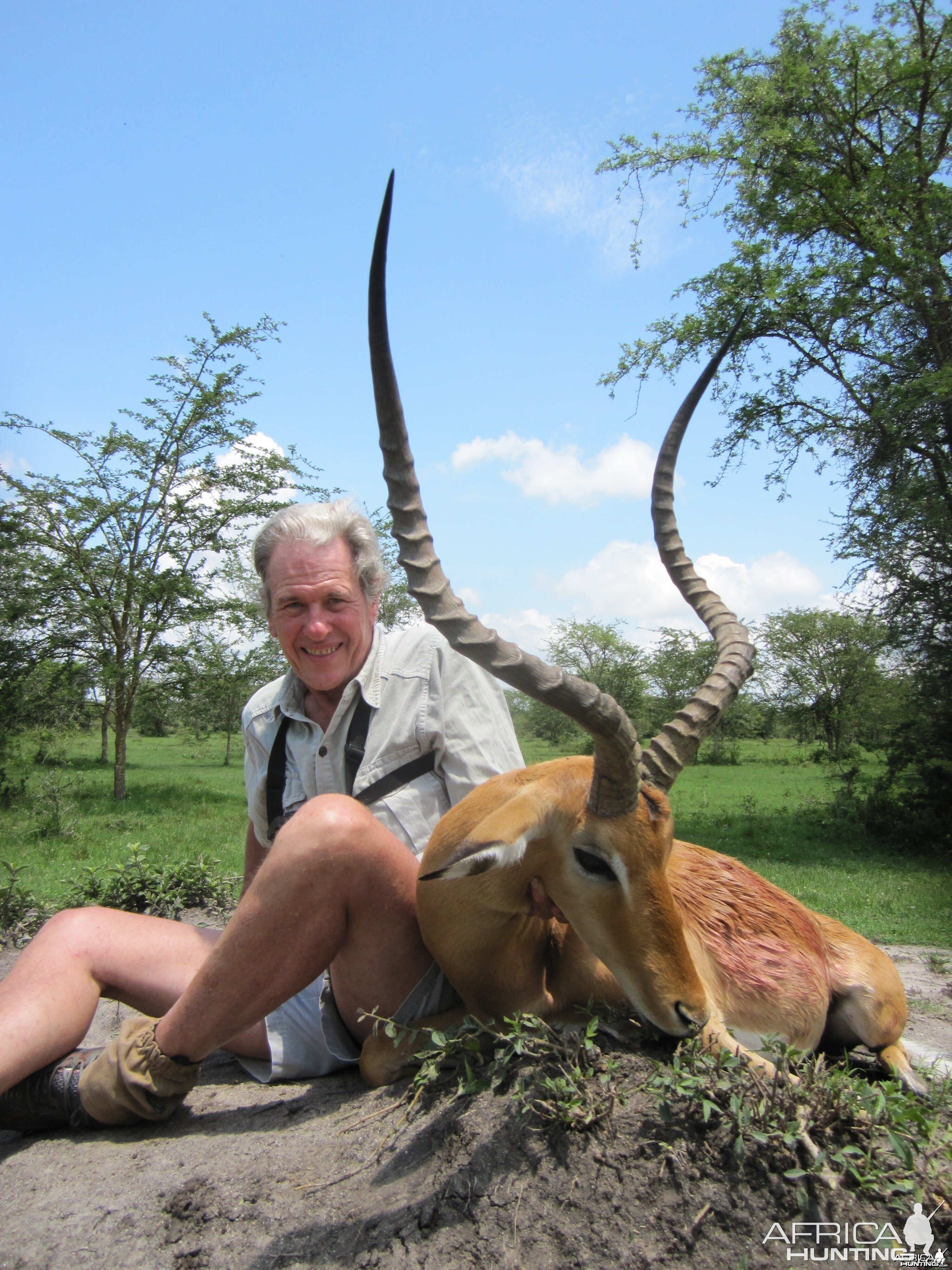 31 inch East African Impala Uganda