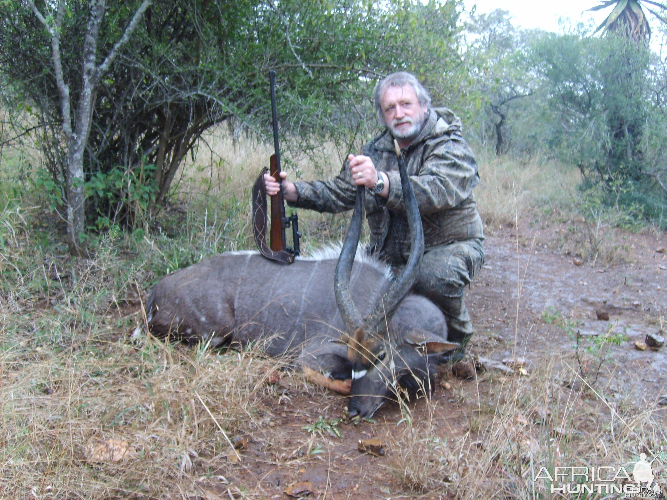 31" Nyala