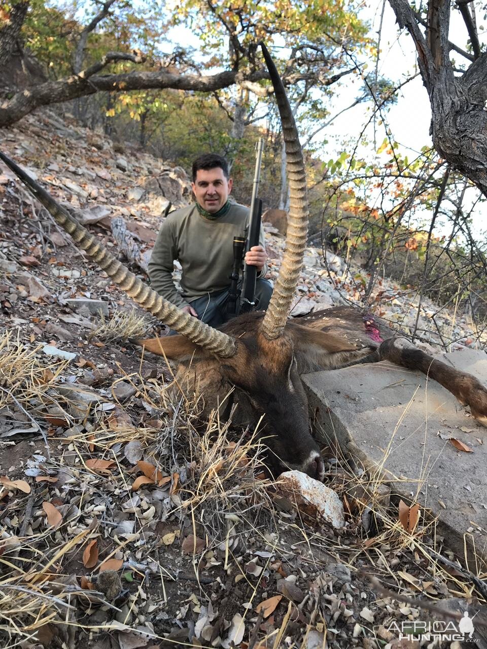 32 5/8" Inch Waterbuck Hunt South Africa