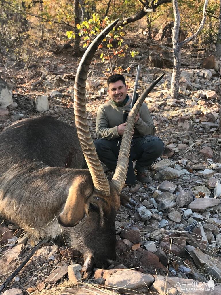 32 5/8" Inch Waterbuck Hunting South Africa