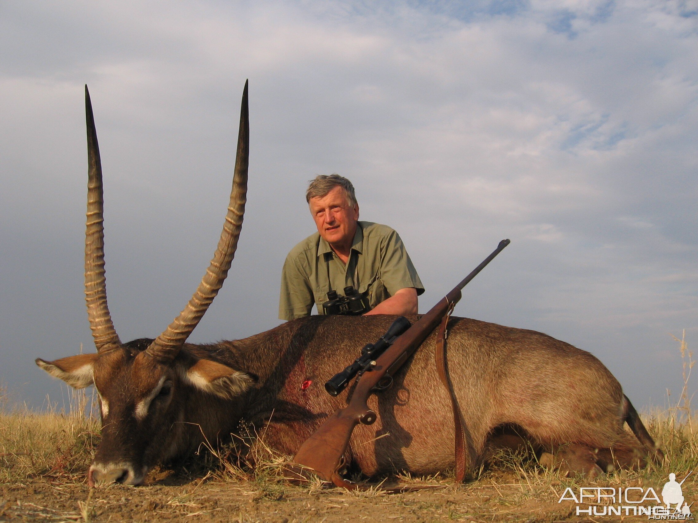 32 inch Waterbuck