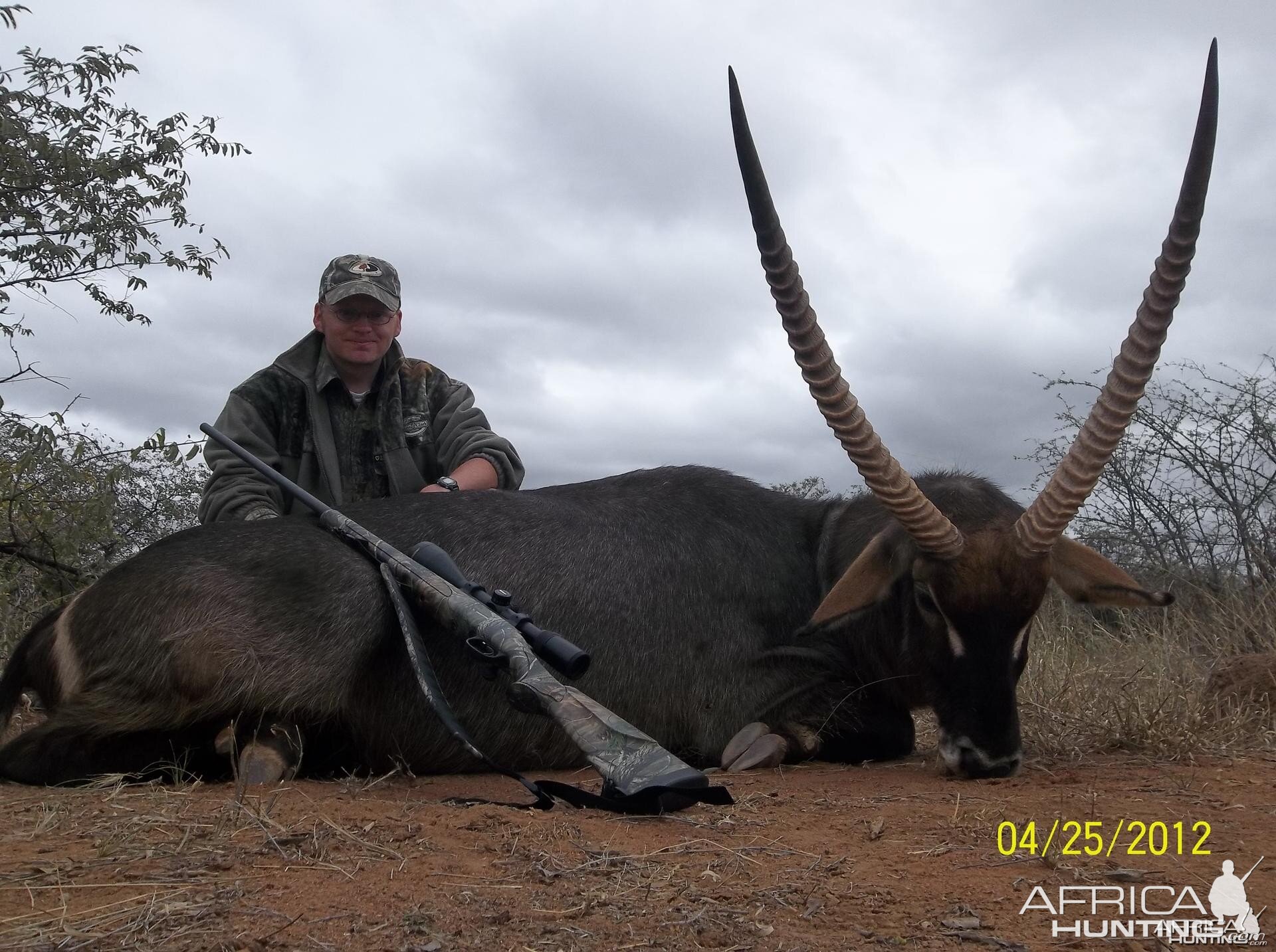 32" Waterbuck