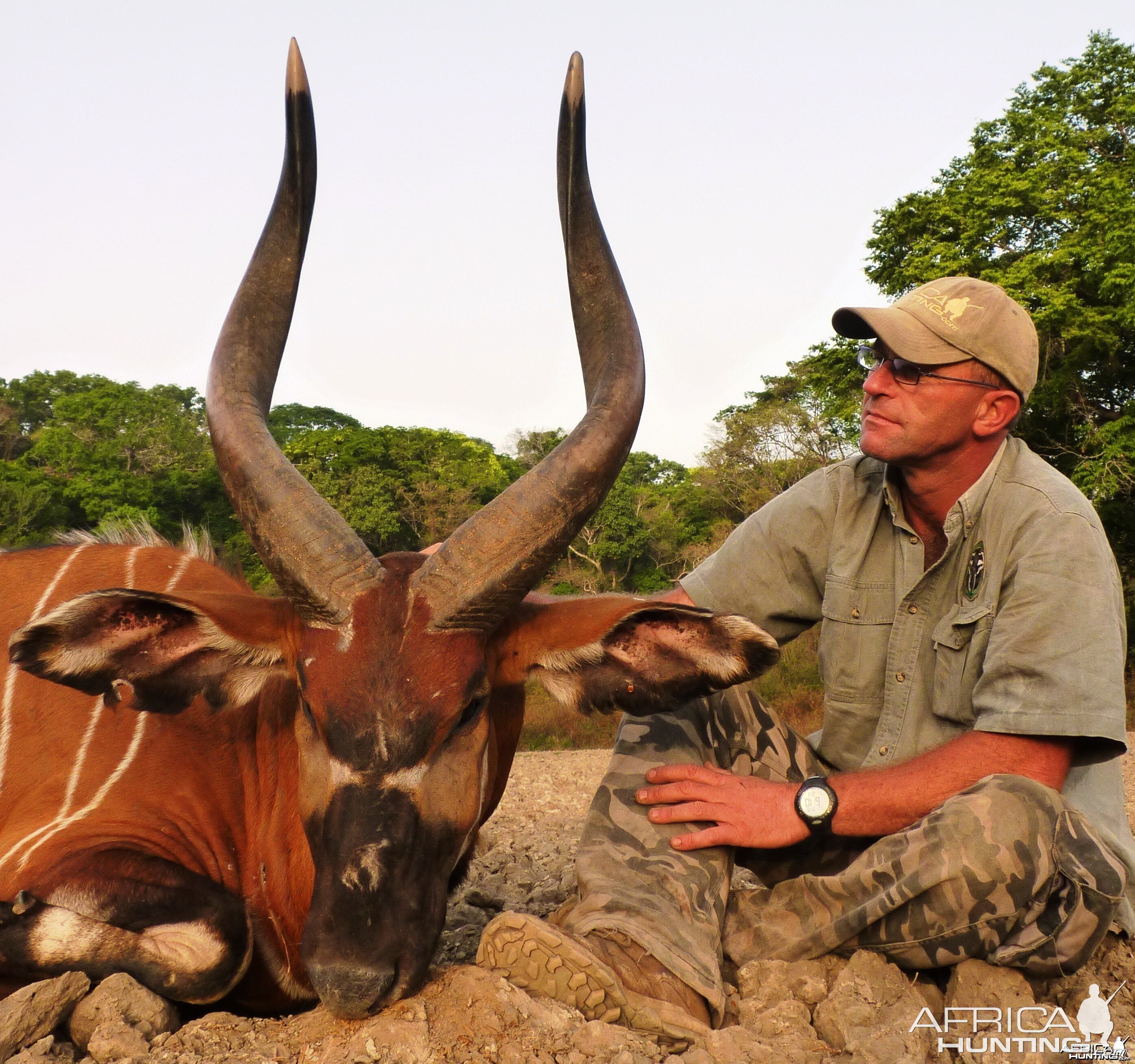 33 5/8 inch Bongo hunted in CAR