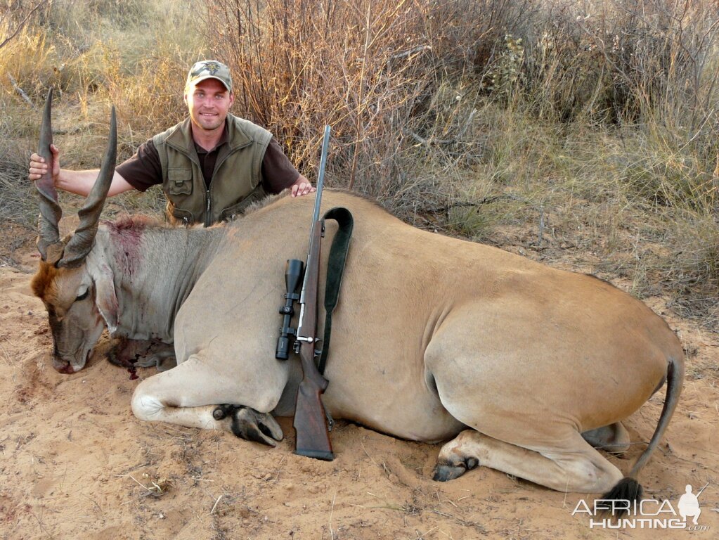 33" Cape Eland shot near Grootfontein Namibia