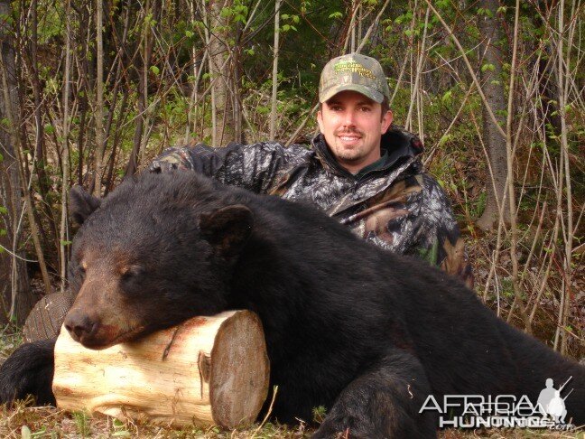 330 pound black bear shot in Quebec in May 2008