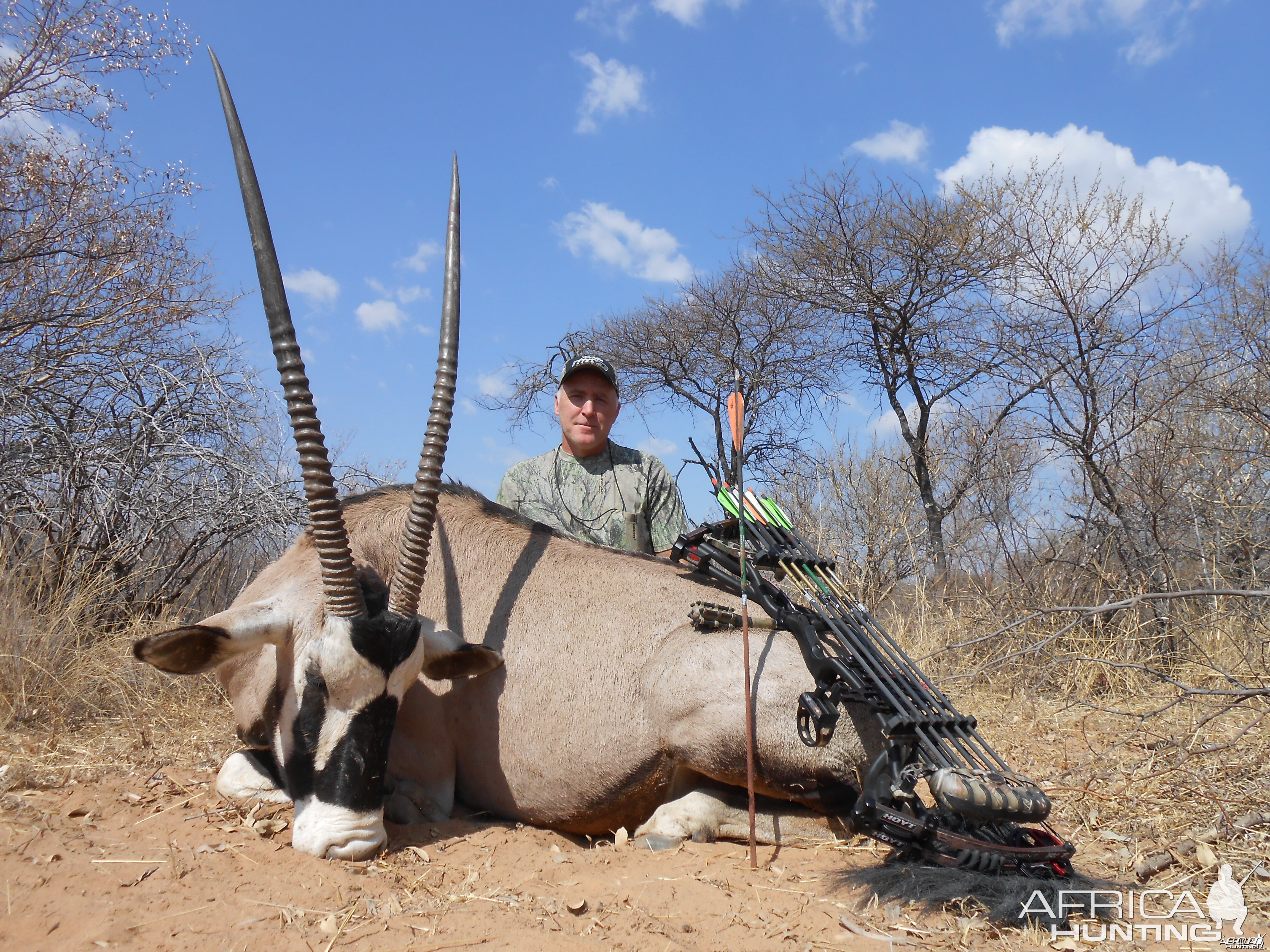 34'' bull gemsbok