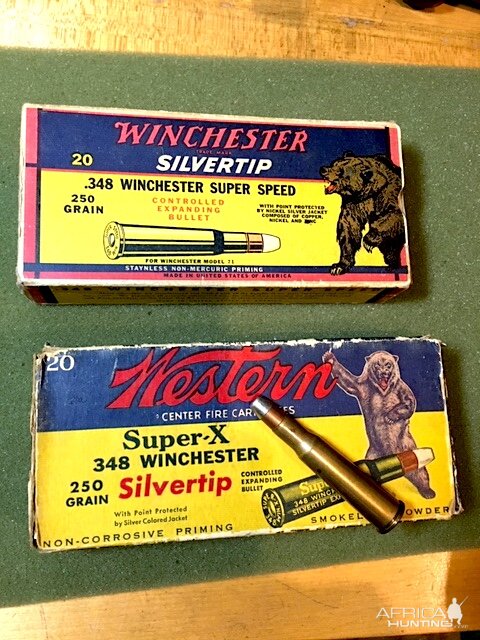 348 Winchester Silvertips