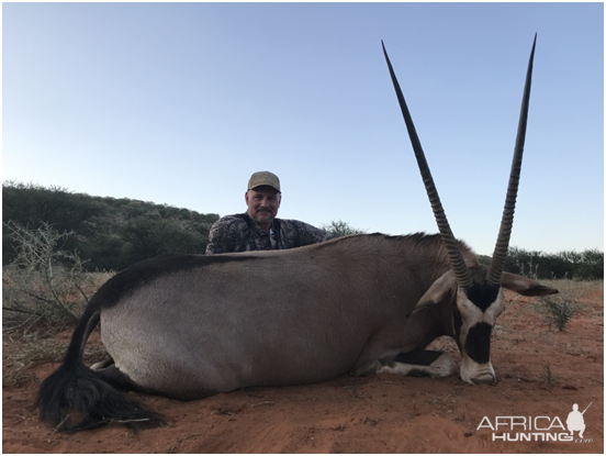 35"m Inch + Gemsbok Cow Hunting in Namibia