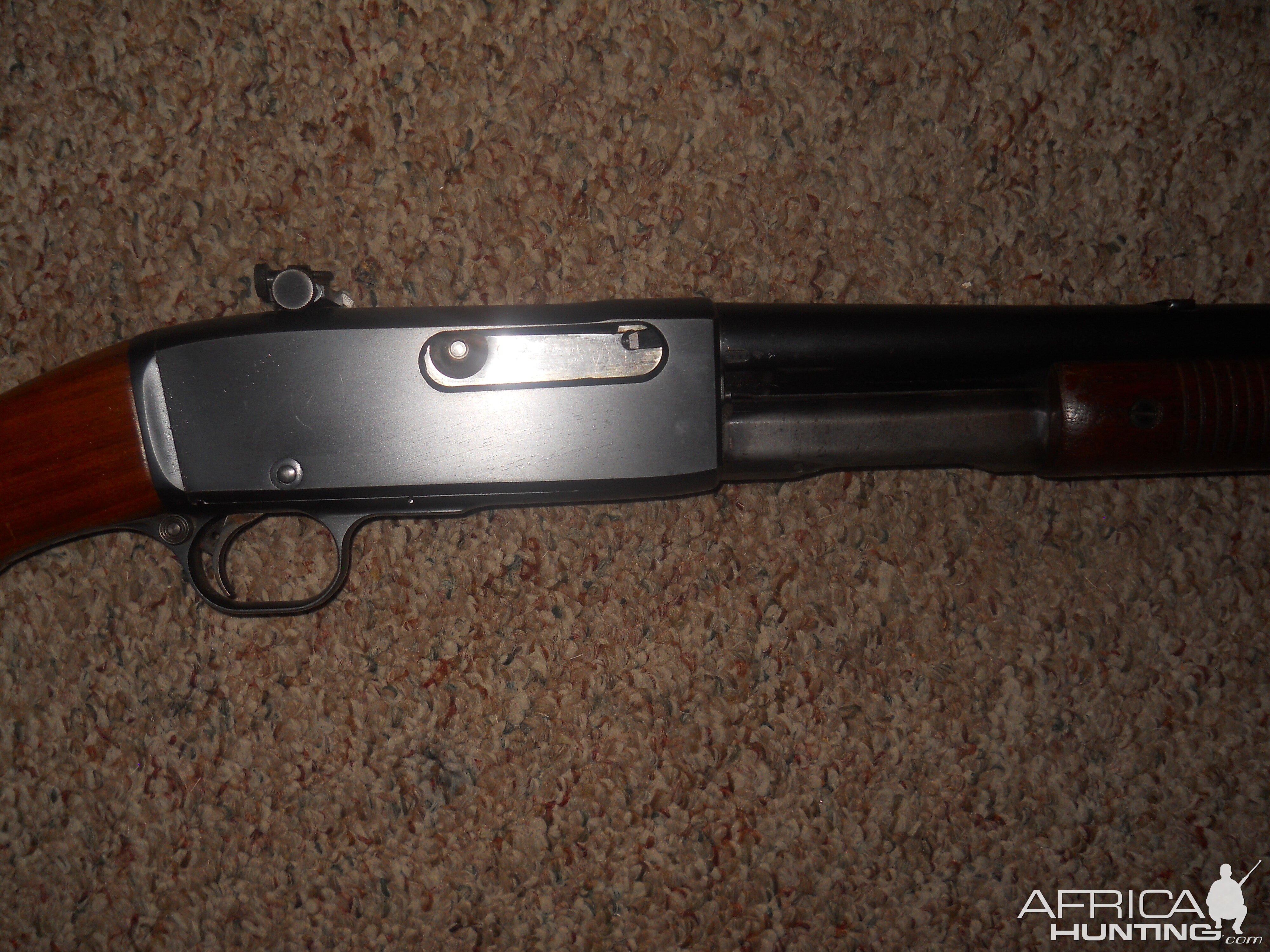 .35 Remington Model 141 Rifle