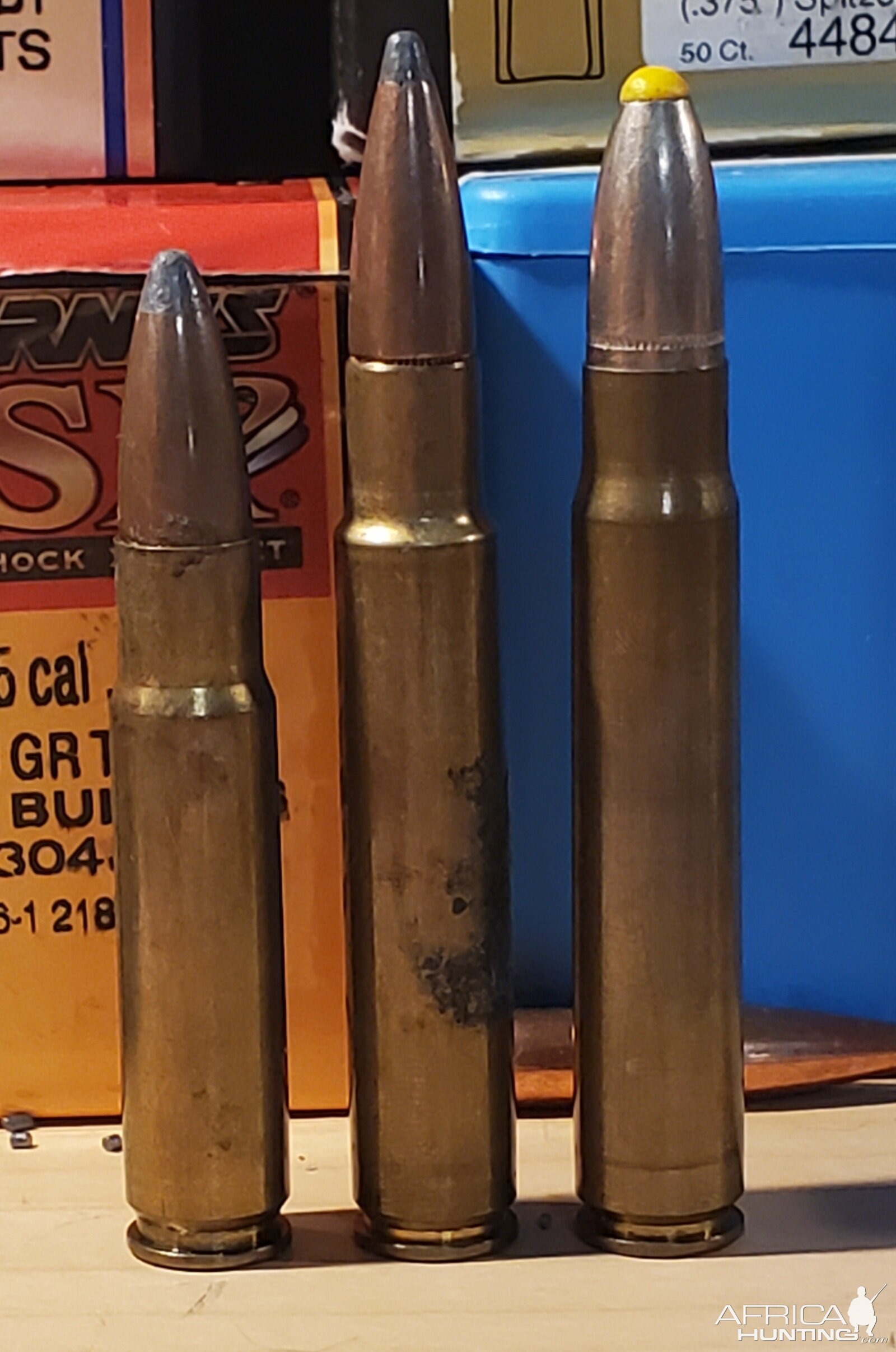 35 Whelen vs 9.3x62 Ammunition