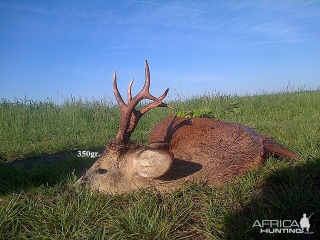 350gr. Roe Deer