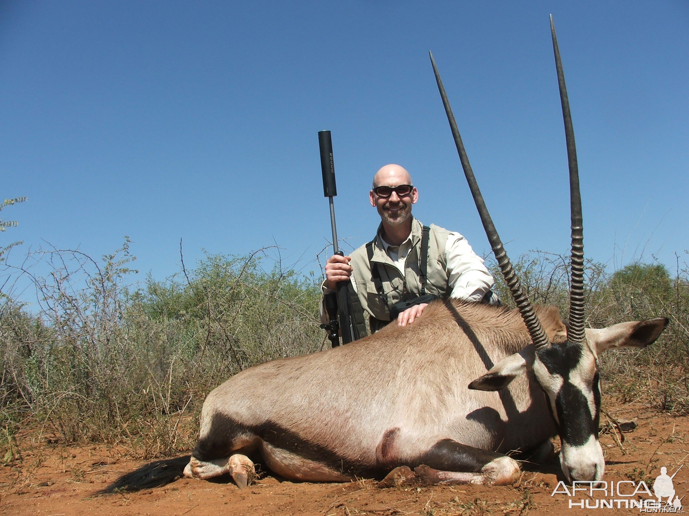 36" Gemsbuck