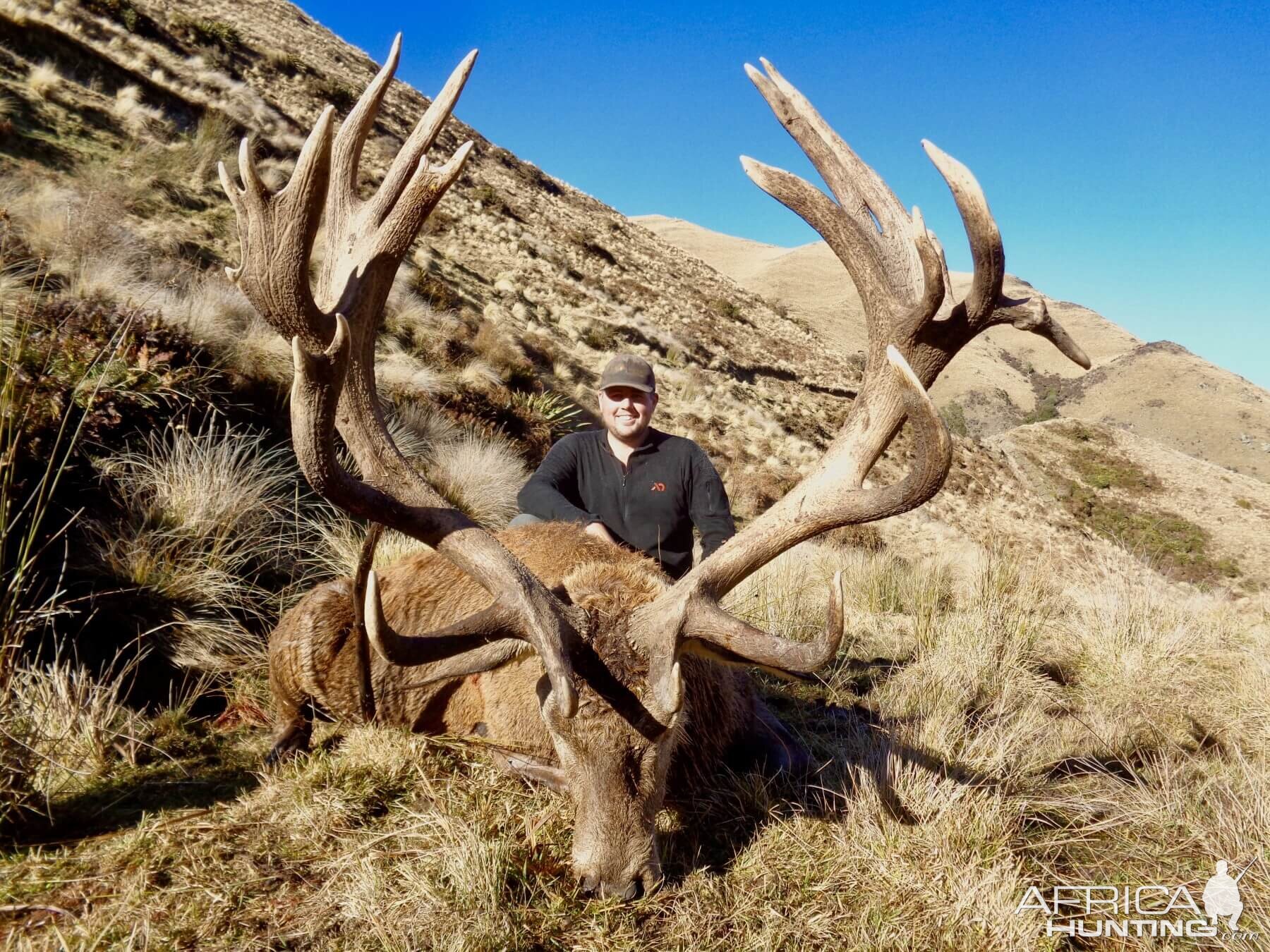 365" Inch Red Stag Hunting New Zealand