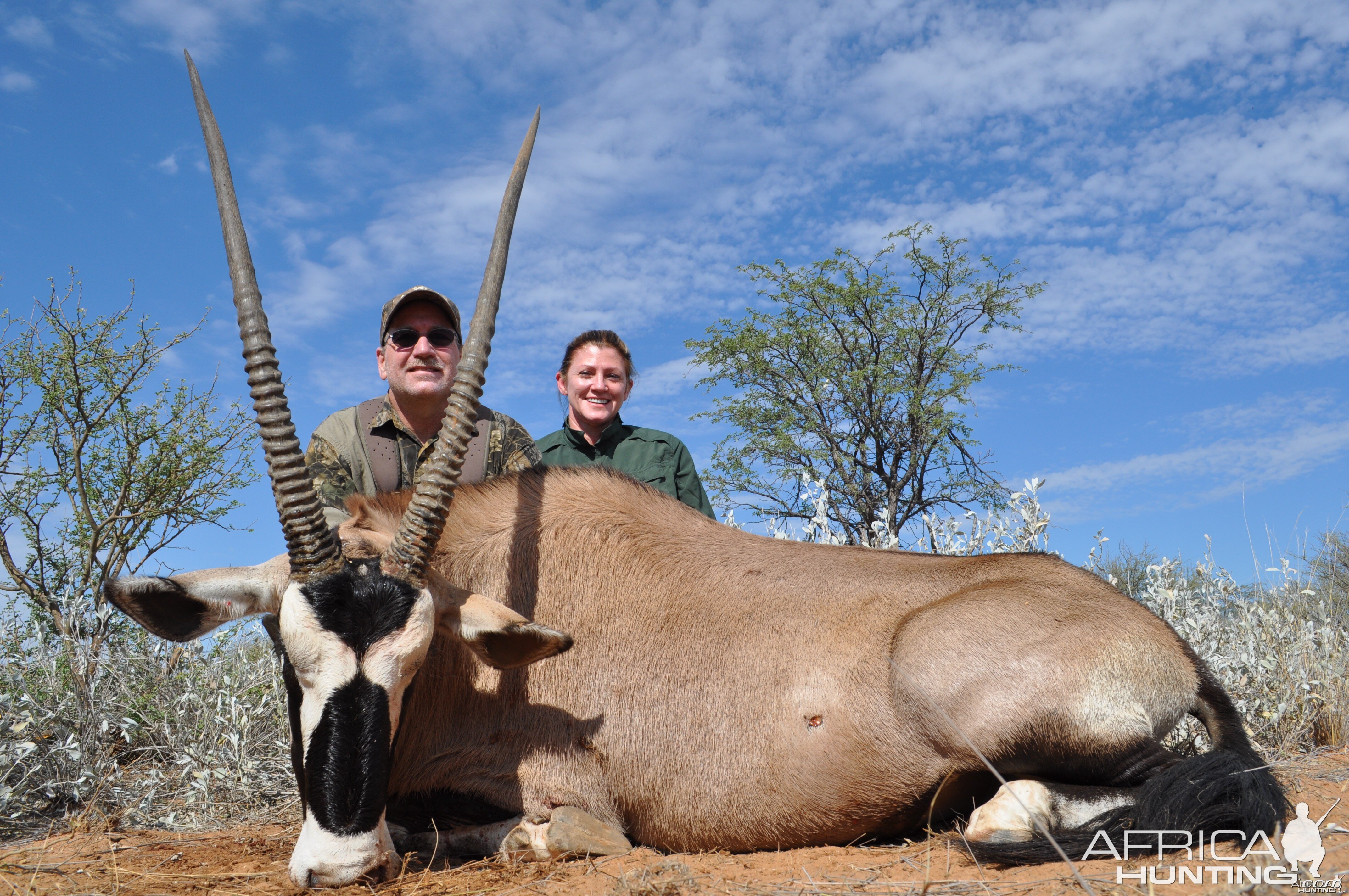 37" Bull Gemsbok