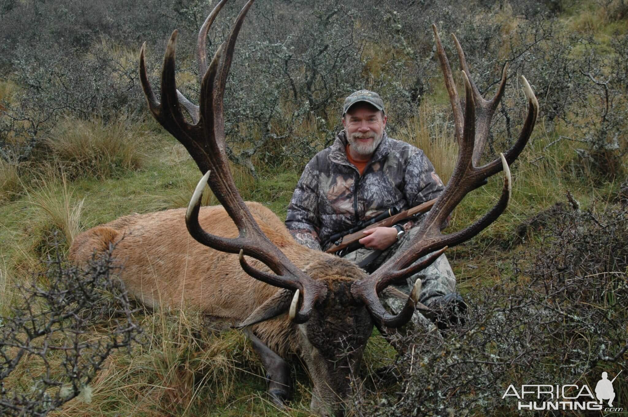 370" Inch Red Stag Hunting New Zealand