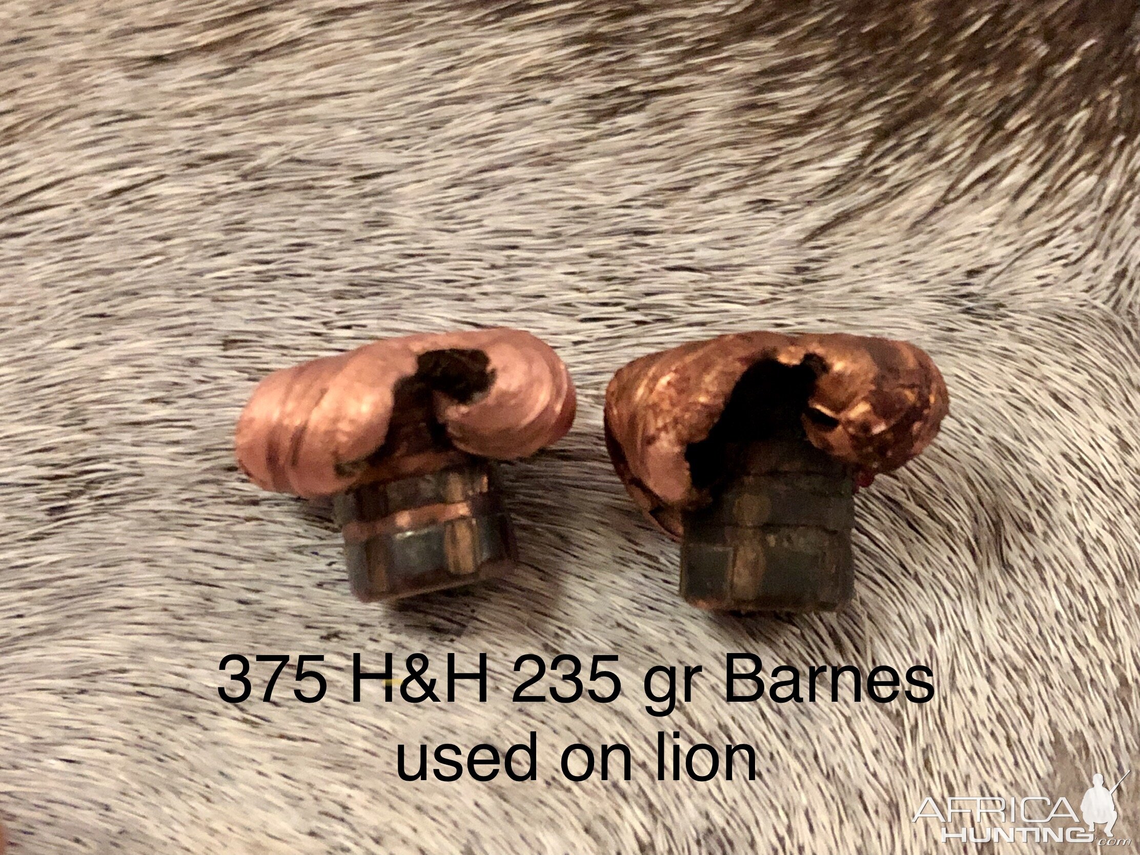 375 H&H 235 Barnes TSX Bullet Performance