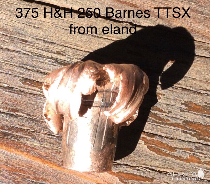 375 H&H 250 Barnes TSX Bullet Performance