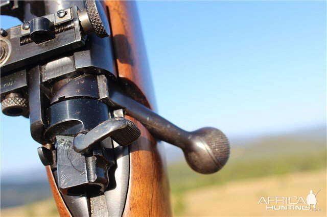 .375 H & H Magnum Pre-64 Winchester Model 70