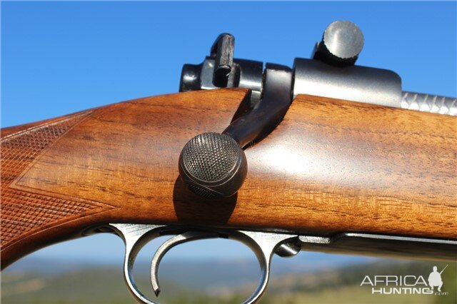 .375 H & H Magnum Pre-64 Winchester Model 70