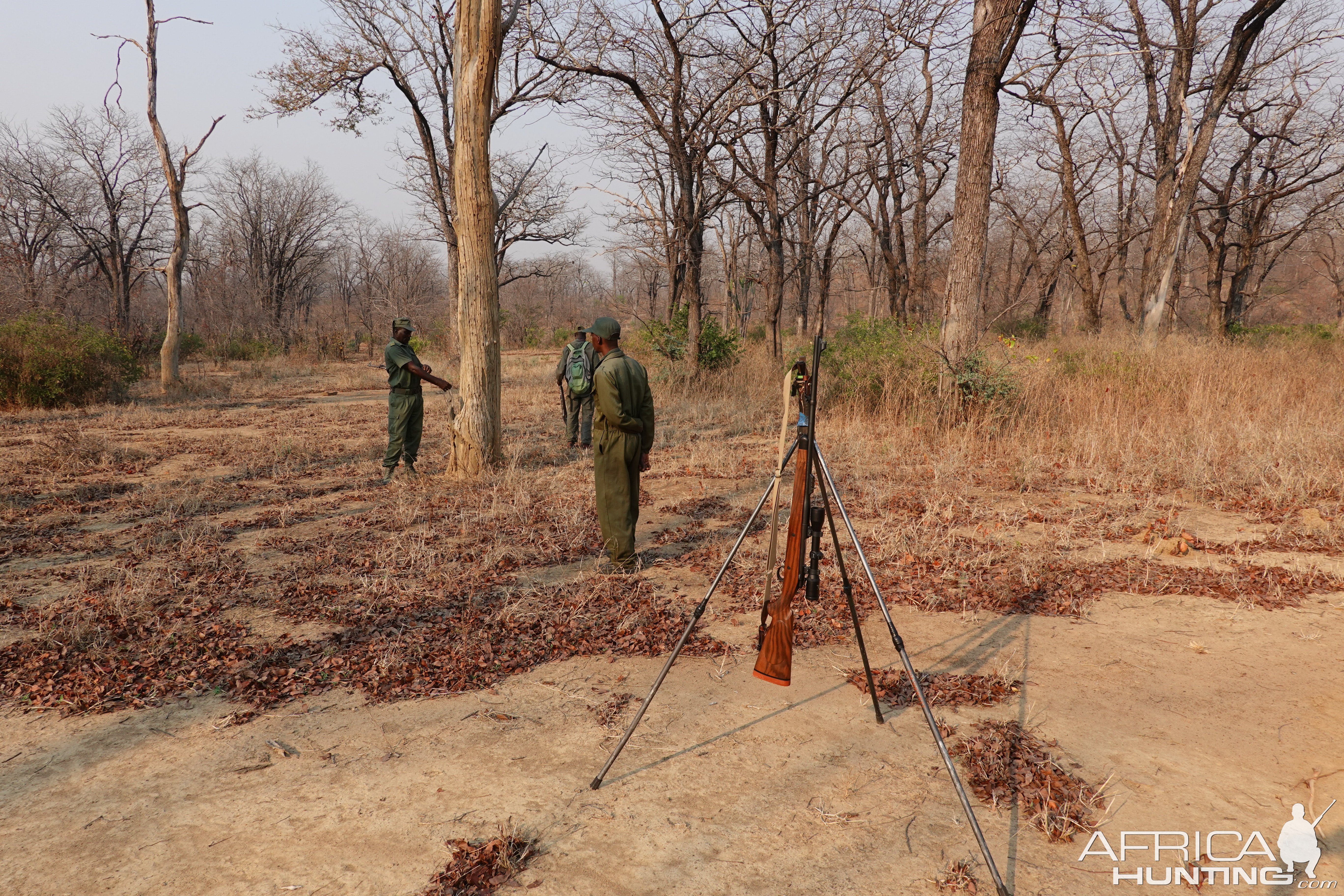 375 H&H & Shooting Sticks Zimbabwe